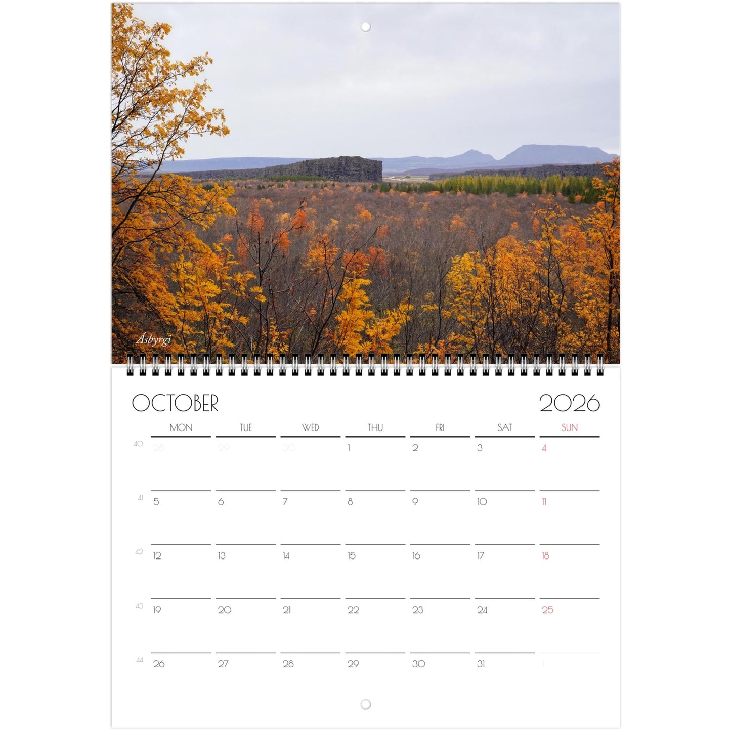 825558fc-87f5-4b2b-af90-5dc2013c2ecb