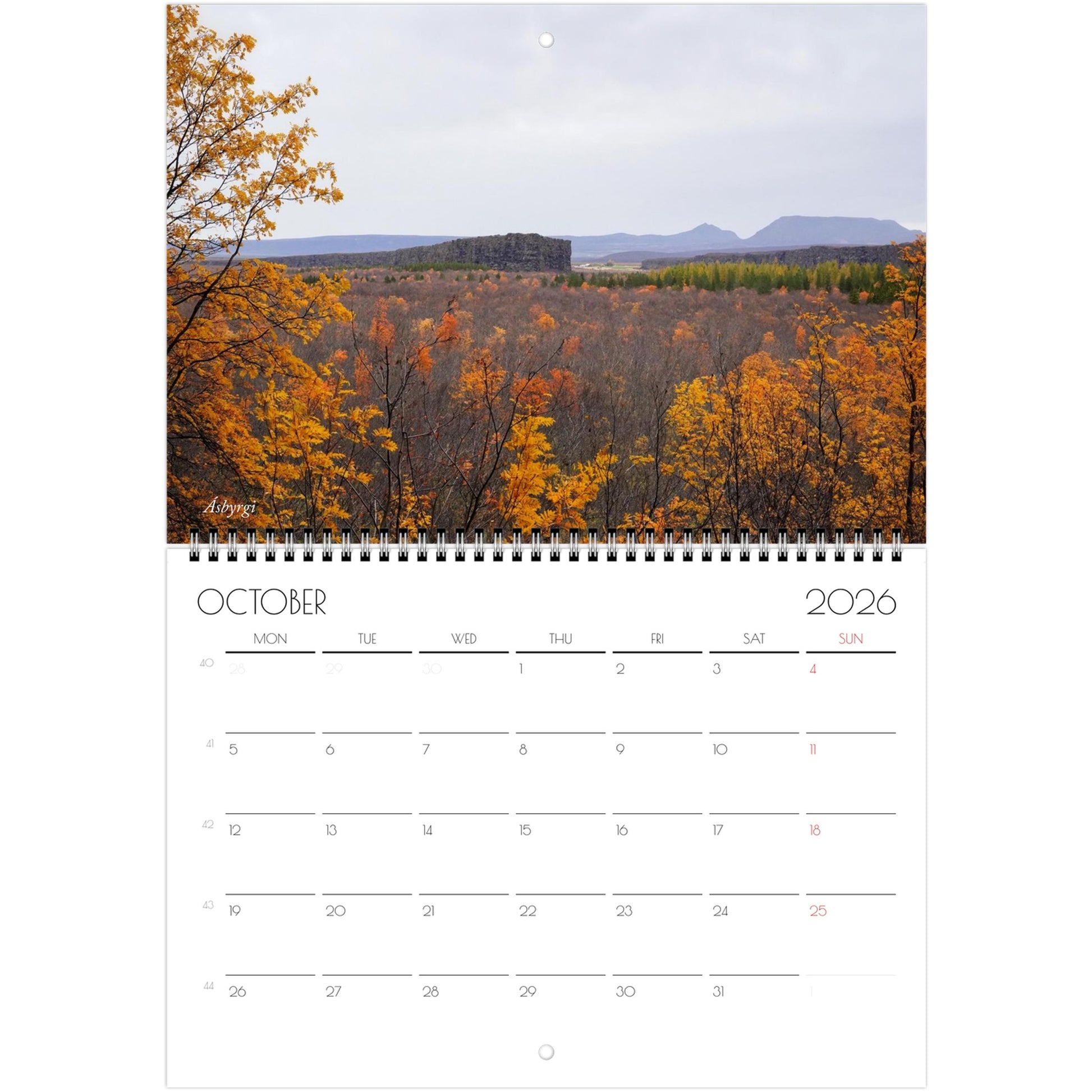 825558fc-87f5-4b2b-af90-5dc2013c2ecb