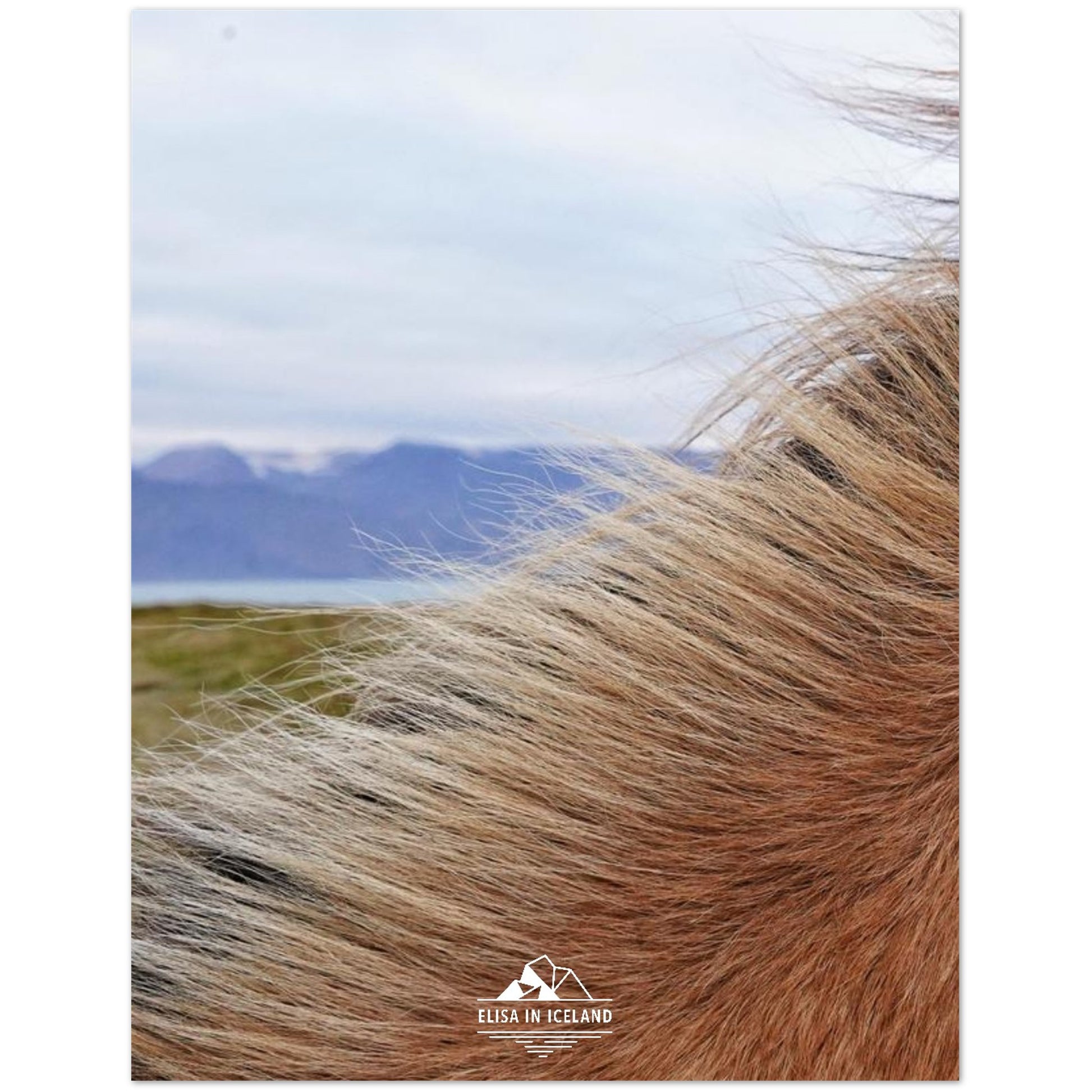 825fb74d-33c2-4c02-bafa-cb847d226b76