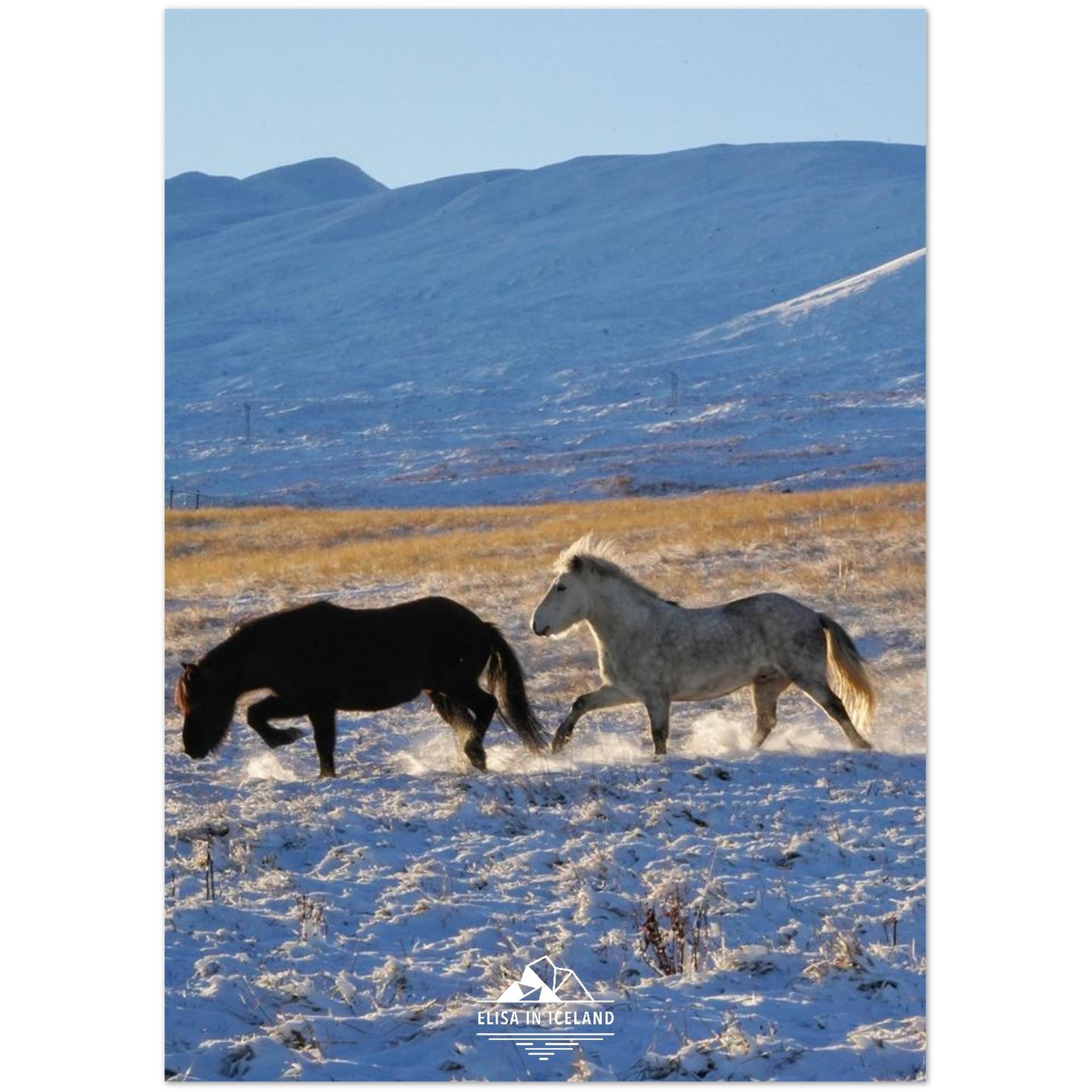 828e7137-cd9d-49e5-9de7-a29299799815