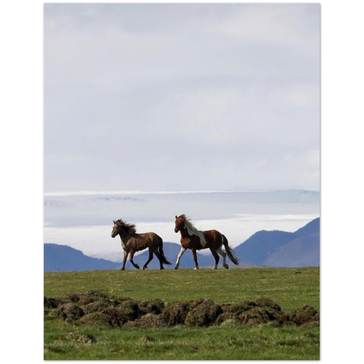 86e5b45a-b311-46b3-859e-f9843bd36718