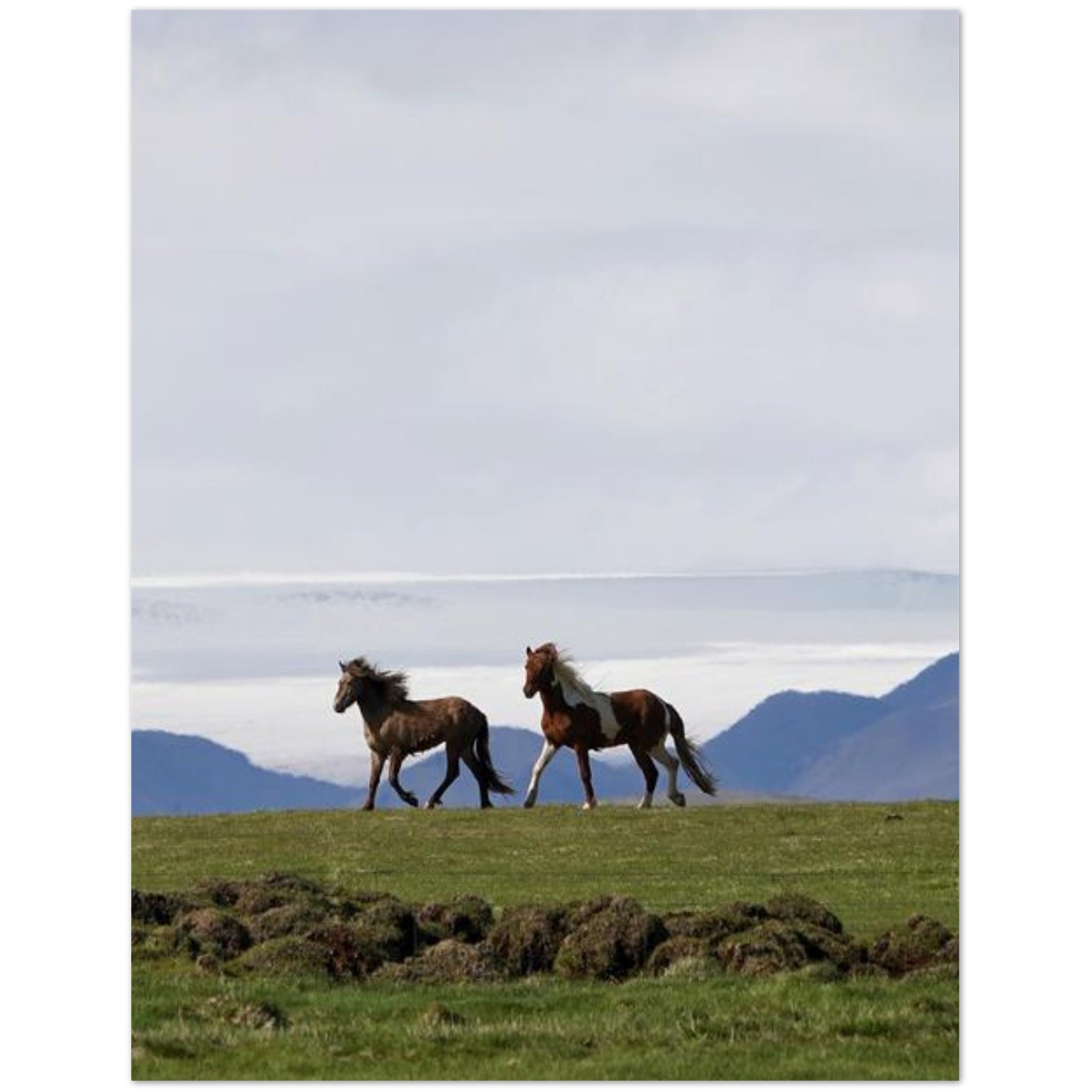 86e5b45a-b311-46b3-859e-f9843bd36718