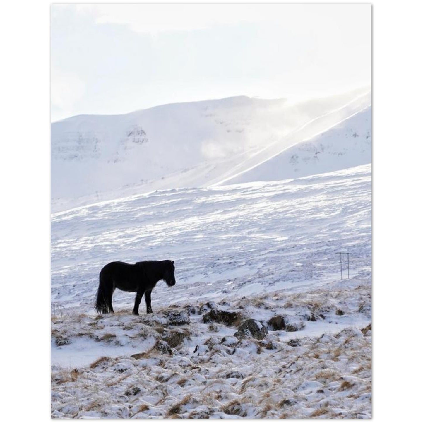 89e5df5a-16c8-4ef2-8e62-506af05b56d0