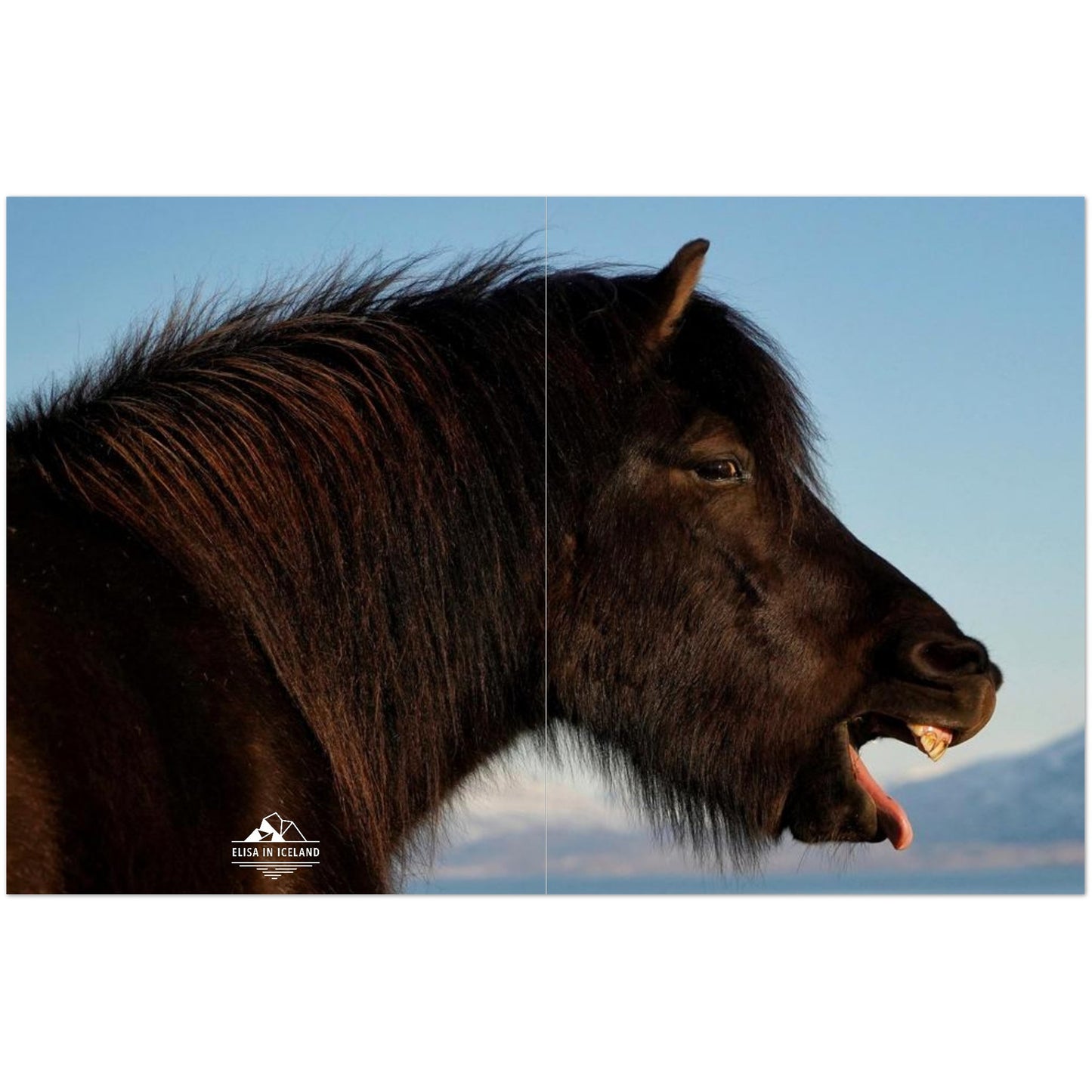 8bf93ba9-e6d7-4002-bdc8-6d040ceb0733