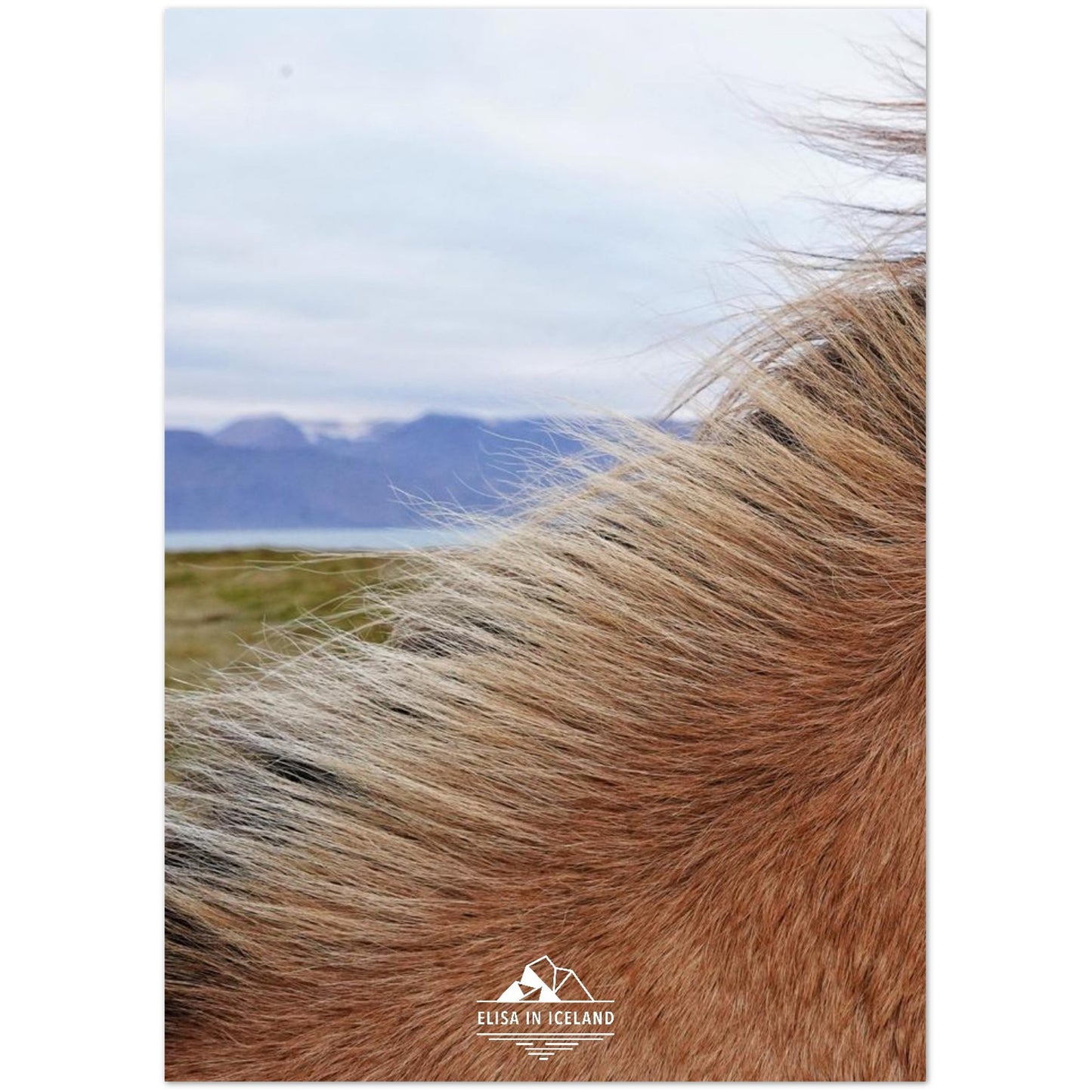 8c330326-a9a5-4715-8c28-1f517a0458ac