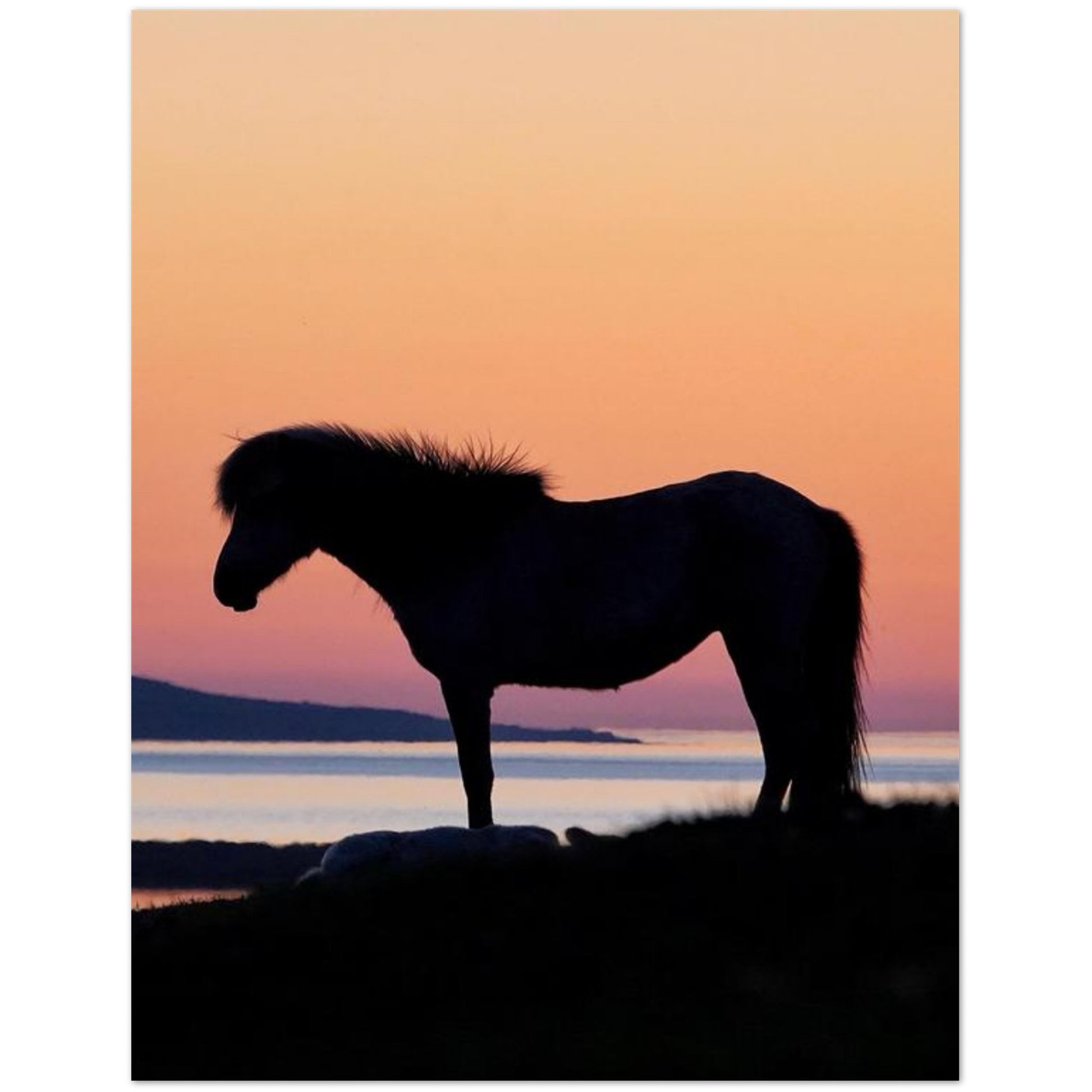 8e5fc92a-4f61-4153-8e4a-adf557c0a4b8