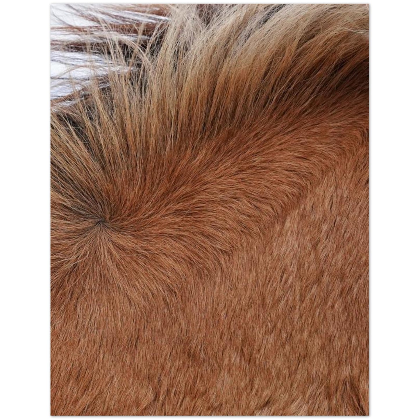 92c95180-acb5-497a-aa49-c67514234951