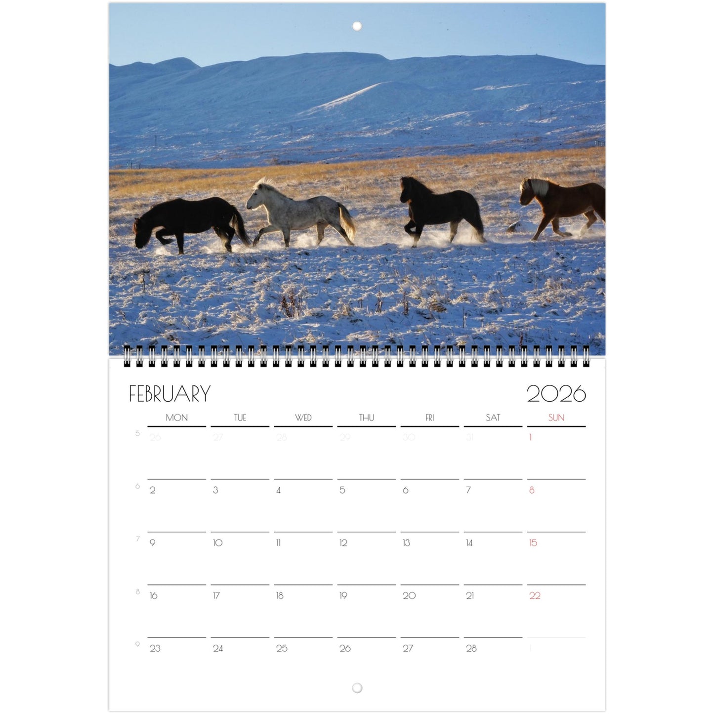 990ba857-ceb9-4efe-8381-4eb47d689d52