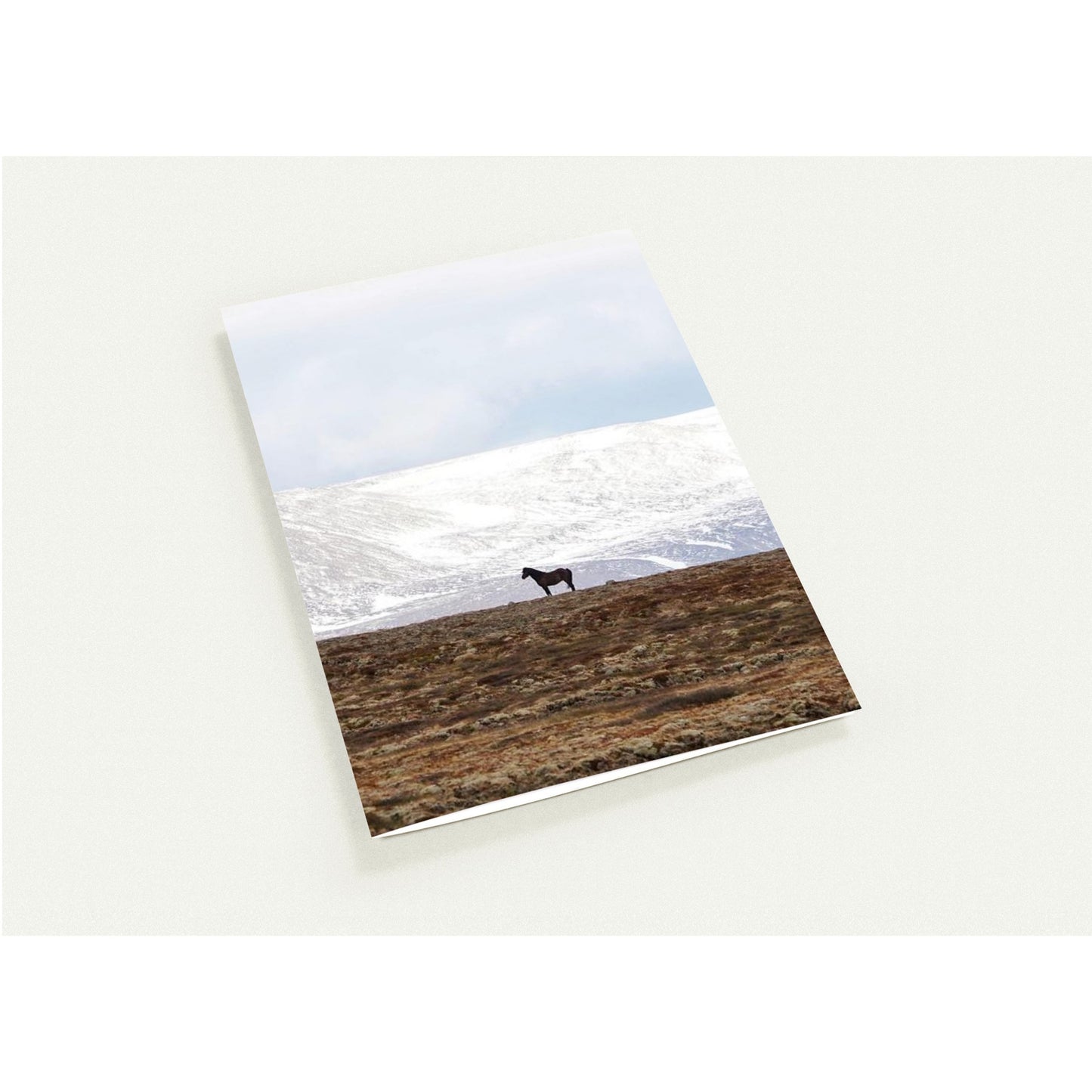 9b53552f-ba31-40c2-b1ec-4c45781ac703