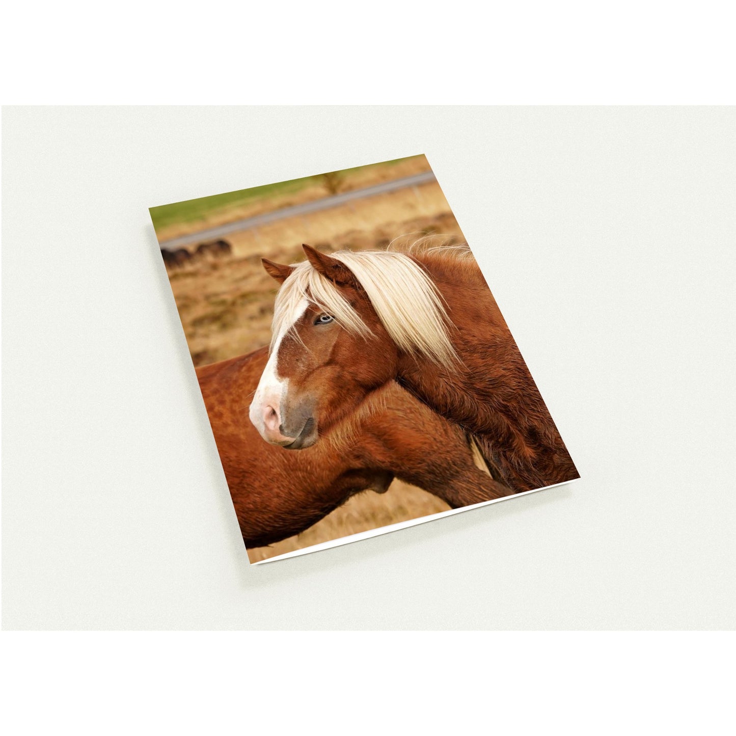 9eff4976-1a0a-4f93-aec9-c6b6109c11f8