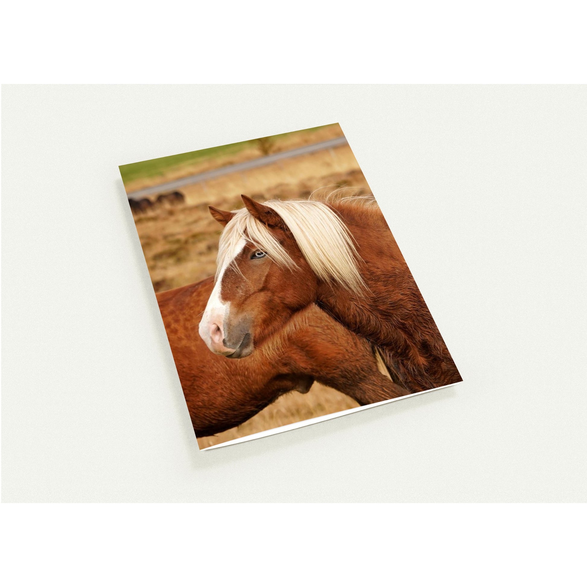 9eff4976-1a0a-4f93-aec9-c6b6109c11f8