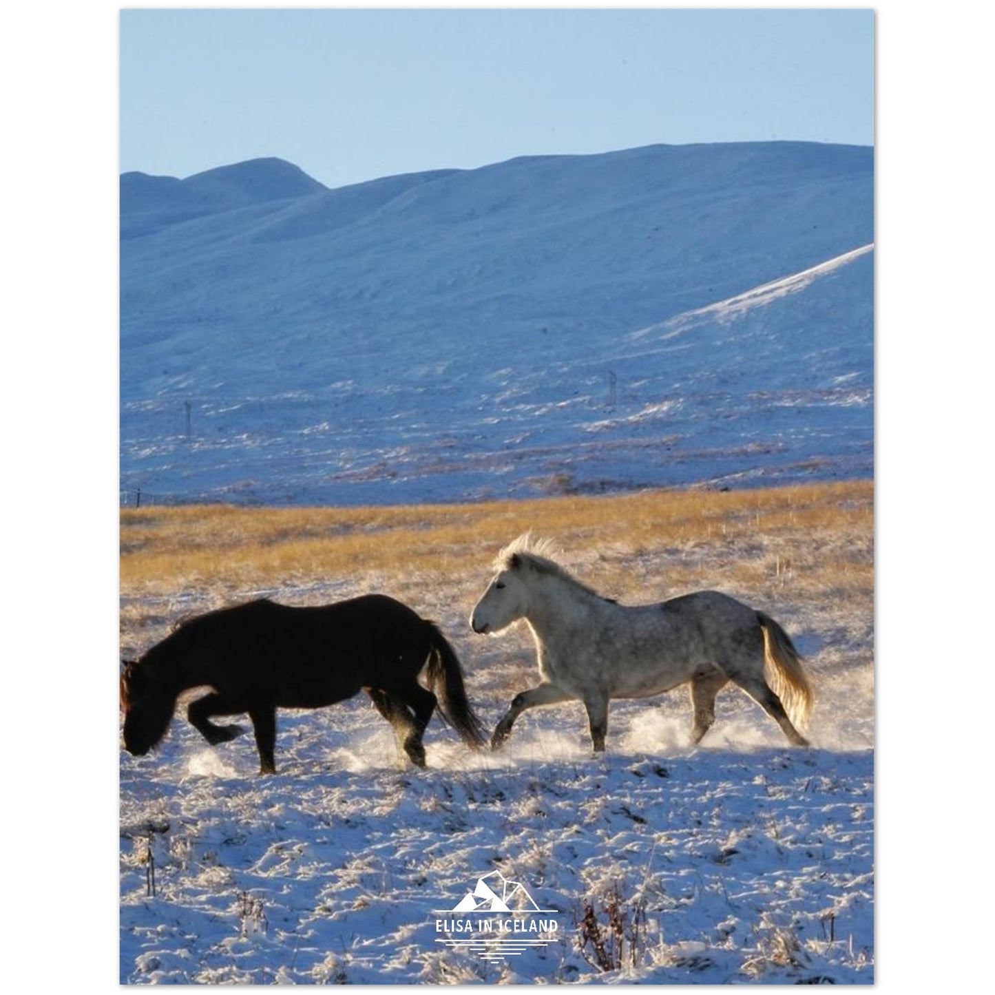 9fc7d0e0-bcd7-4b6f-b6b6-65b46988eadb