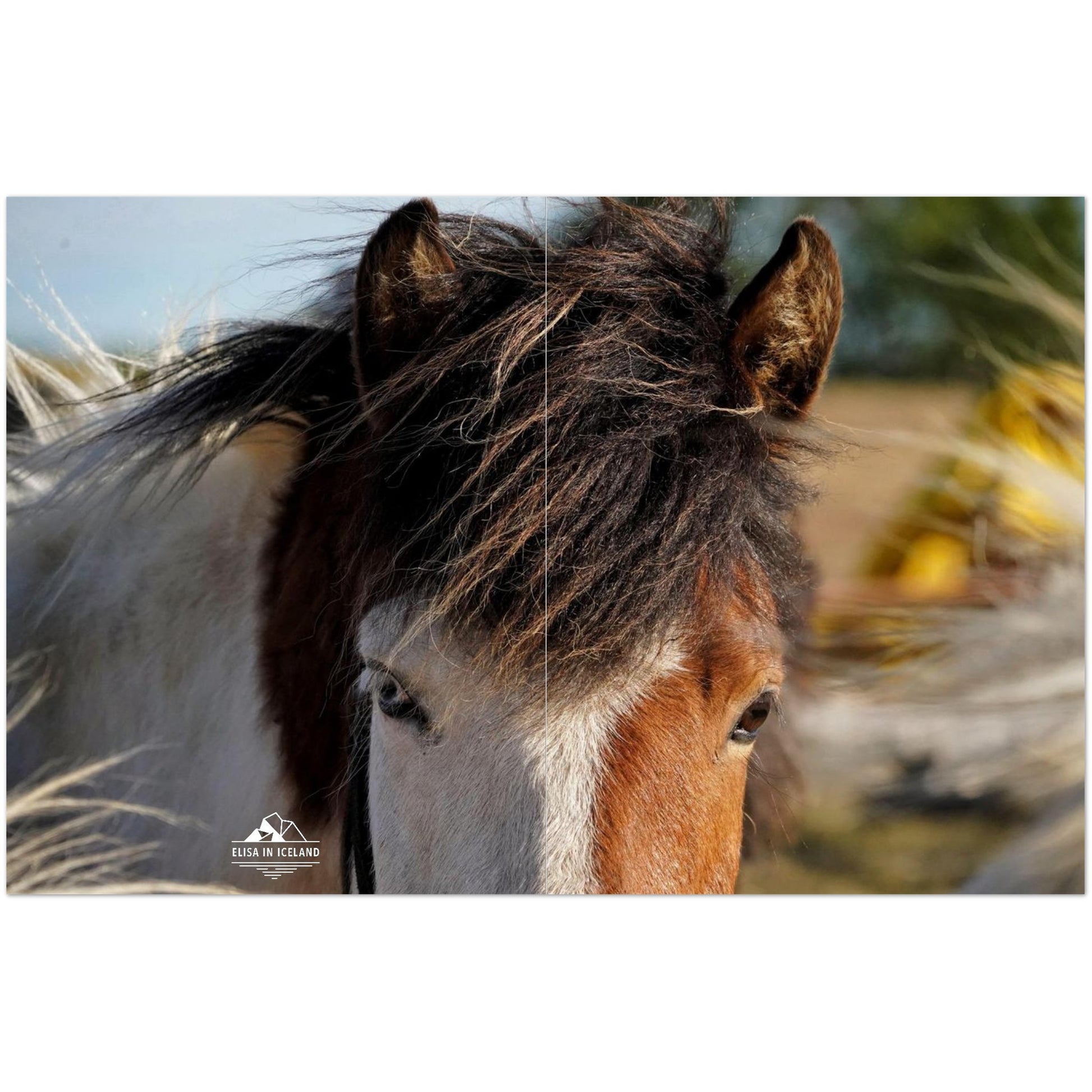 a803dcc9-6d34-435d-af51-656ac5e6e83a