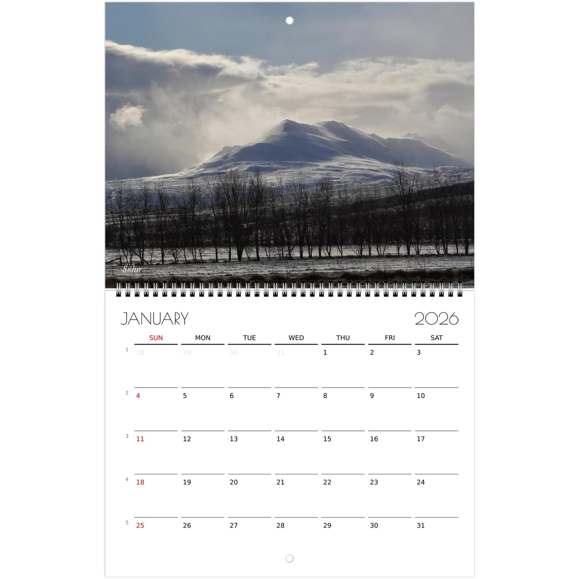 aa21e95e-4b3a-499b-bca7-7ce819b73802