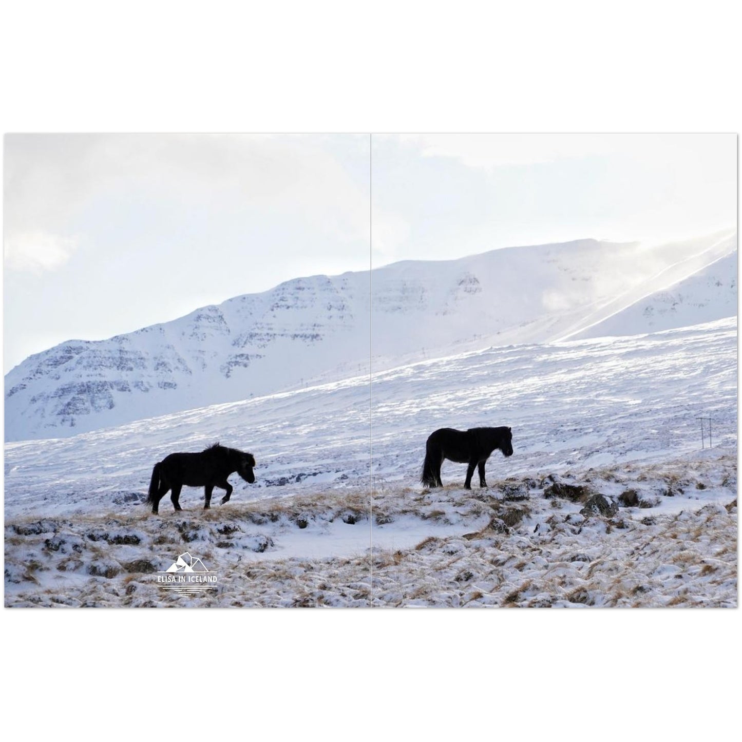 ab82da7f-c9fd-4bac-81d8-ccf6a31fb5e6