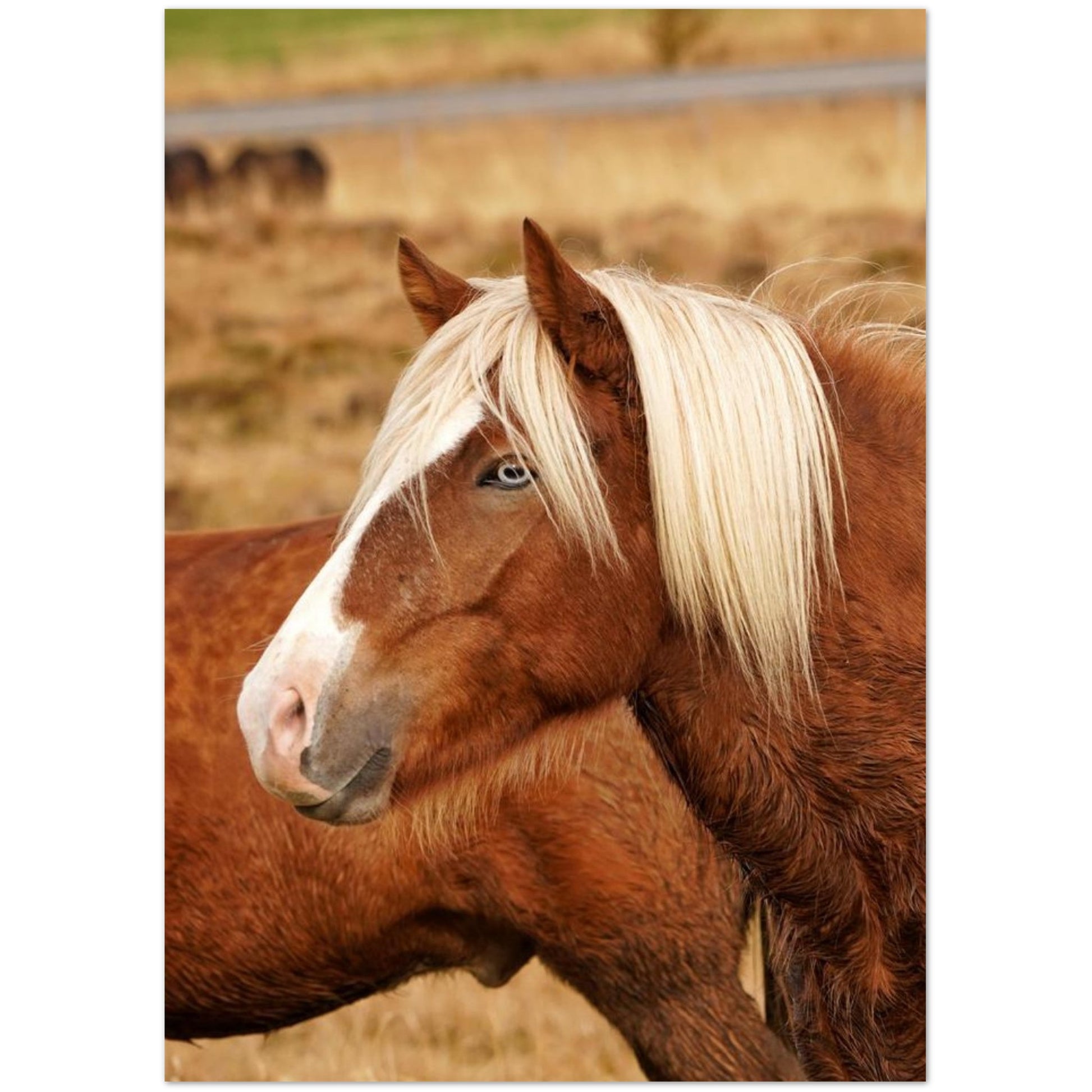 ae94ad21-8677-4d9c-86b2-04cf63cdeed4