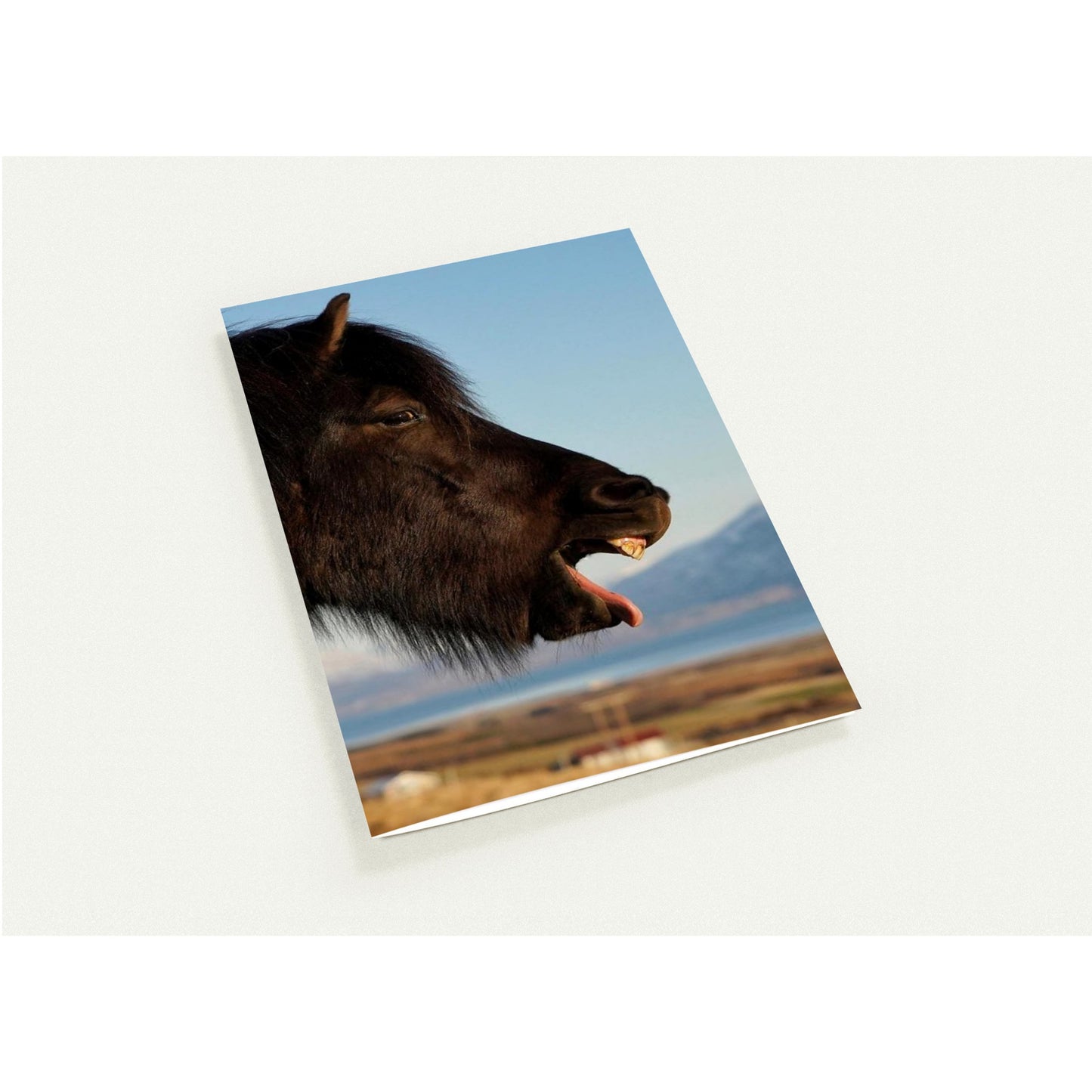 b164ea18-78c7-4107-91f8-18cc75ef8b71