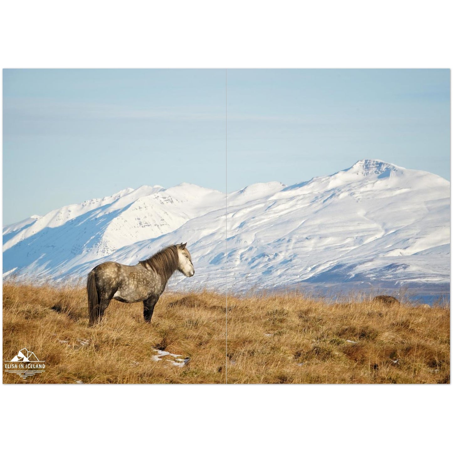 b2dba299-7517-40e6-b78d-893c75921ef6