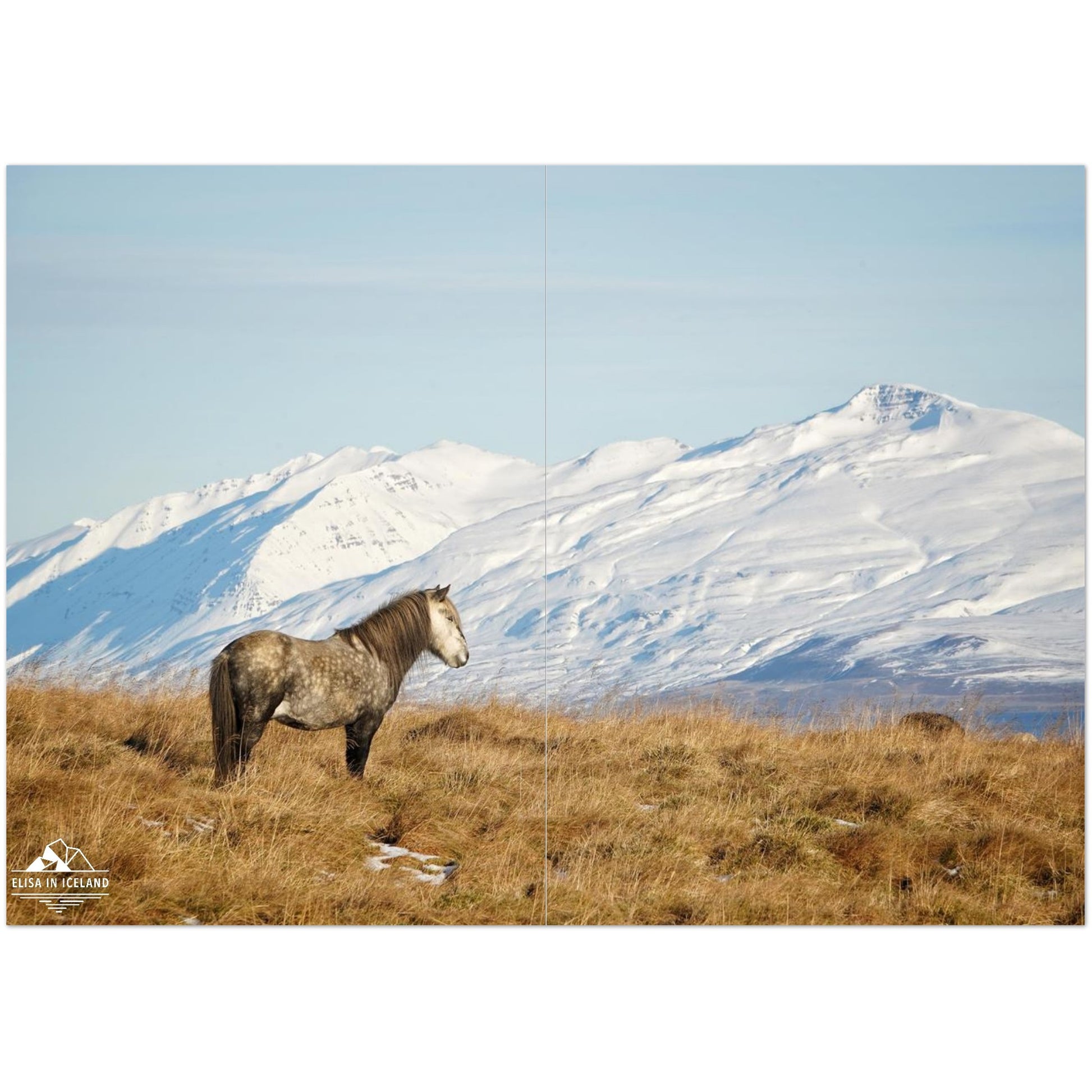 b2dba299-7517-40e6-b78d-893c75921ef6