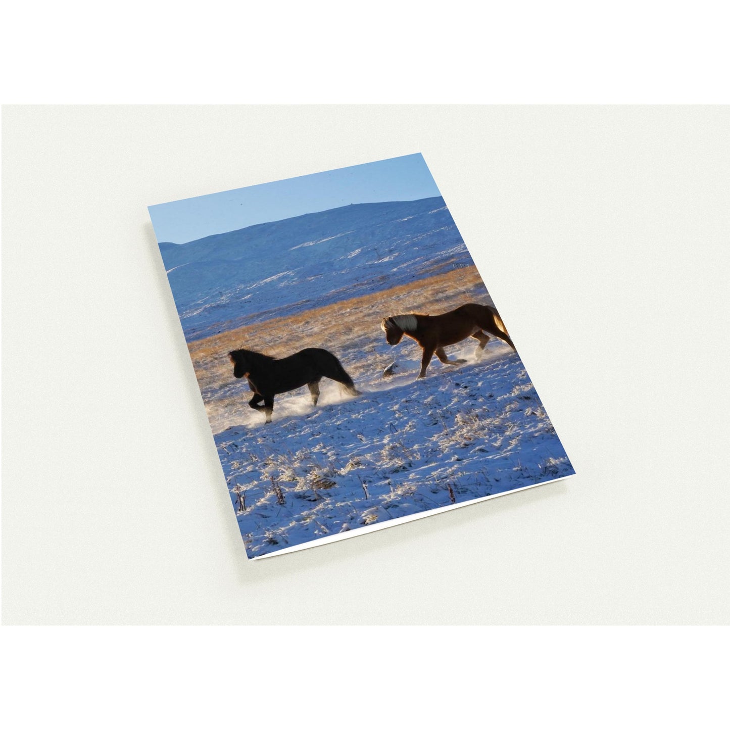 b30ec5bc-48d6-4911-ab1e-6eadea9c52fc