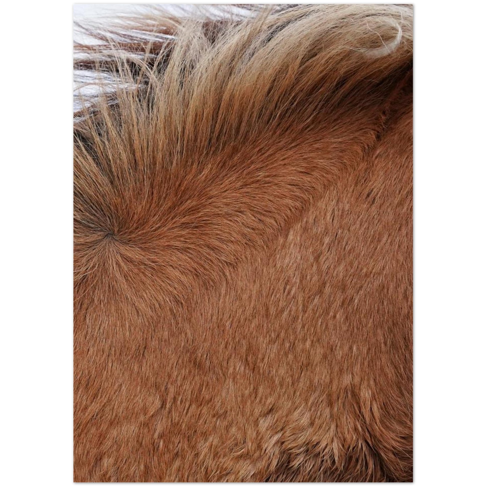 b3f1ecb4-794a-4996-be3b-2672ec8ff749