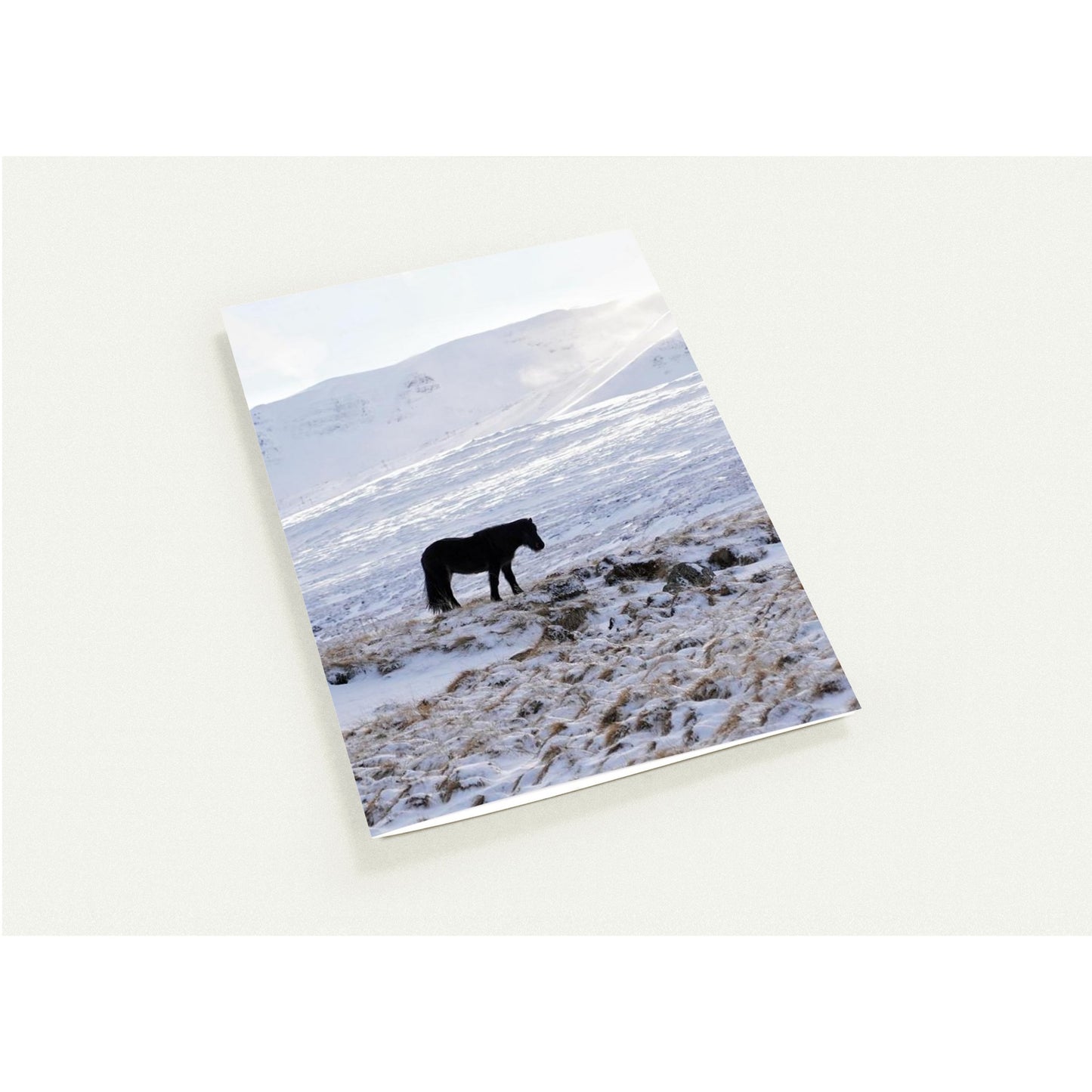 b5c1c97c-09ad-4117-9af8-c57953cb5bd0