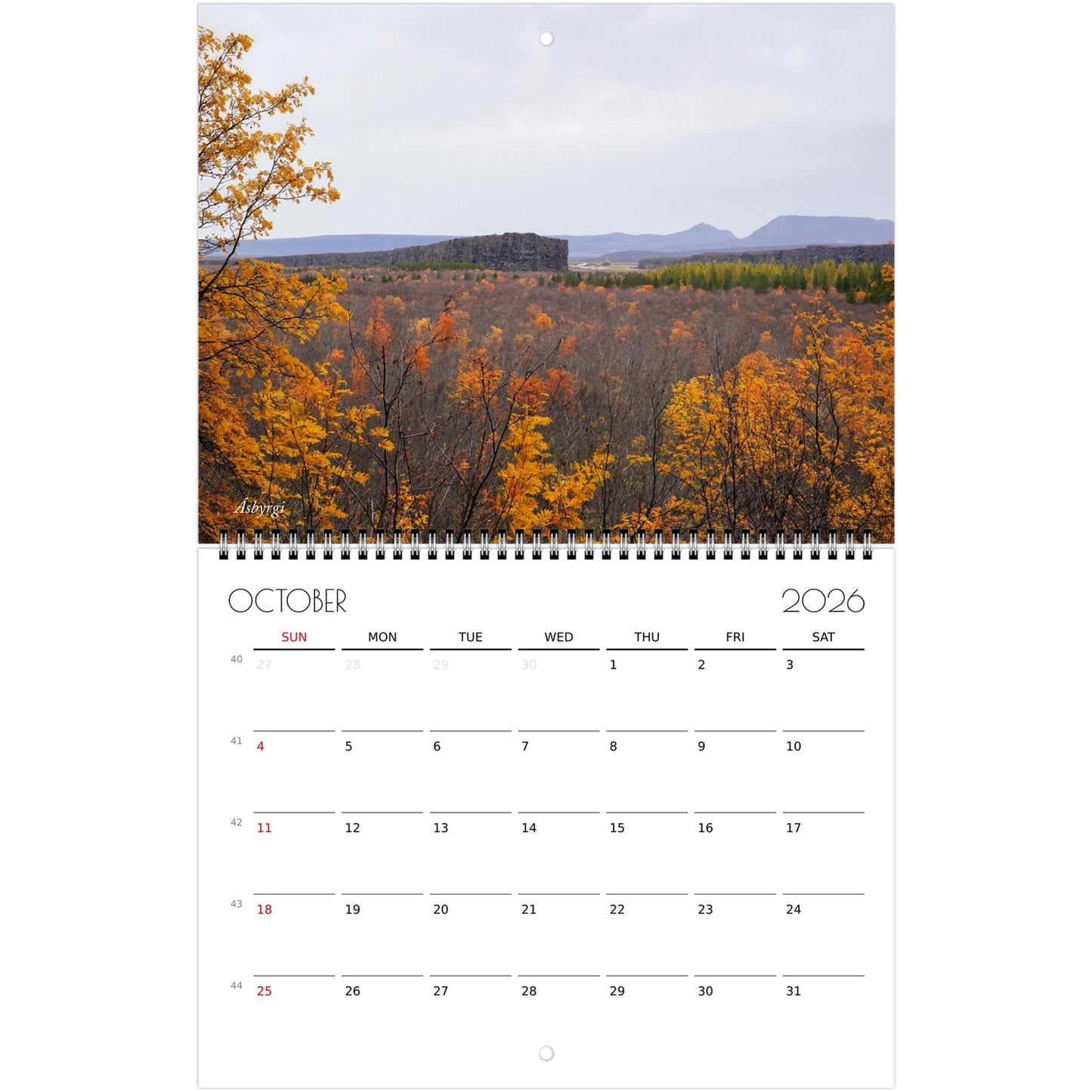 b9eb114d-e52c-4a77-9870-3eafedcd370a