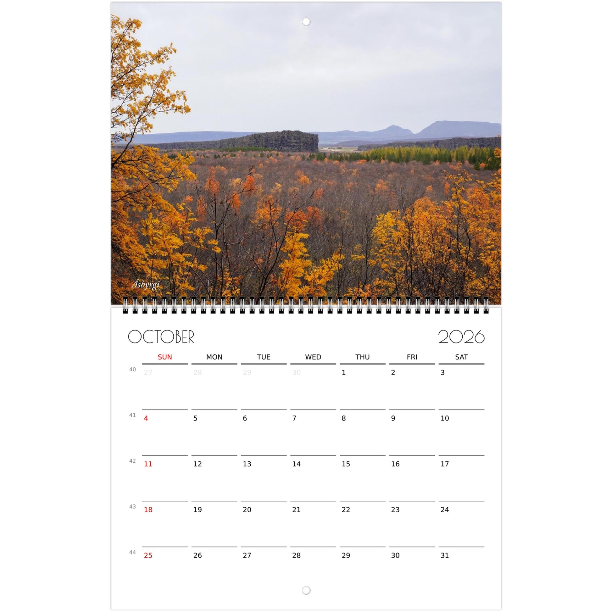 b9eb114d-e52c-4a77-9870-3eafedcd370a