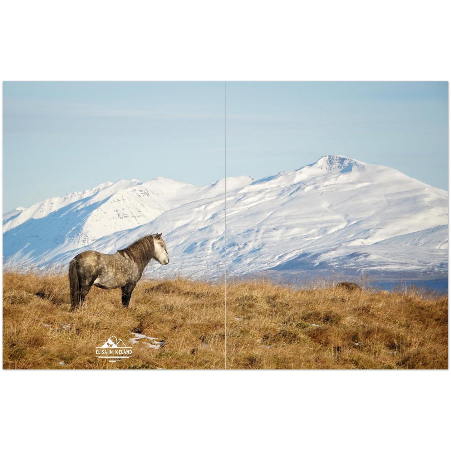 bf7dbb06-fa16-4de9-8310-6cee1818f64d