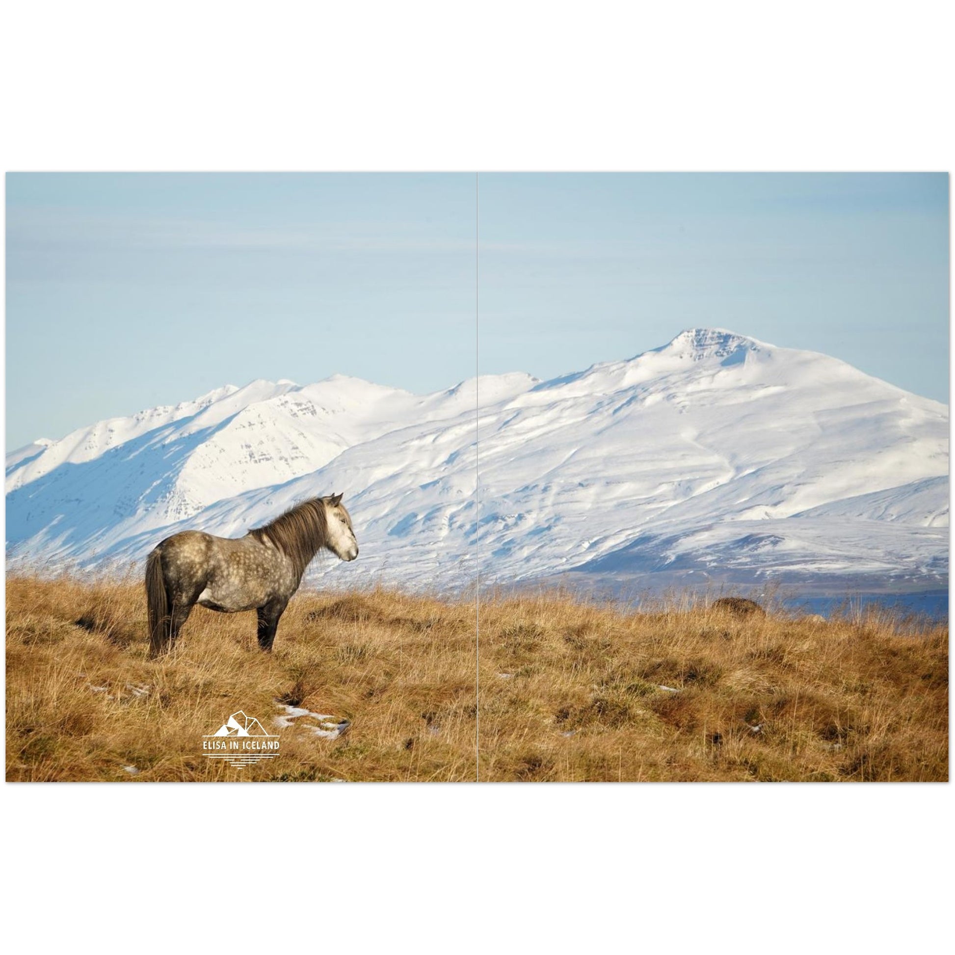 bf7dbb06-fa16-4de9-8310-6cee1818f64d