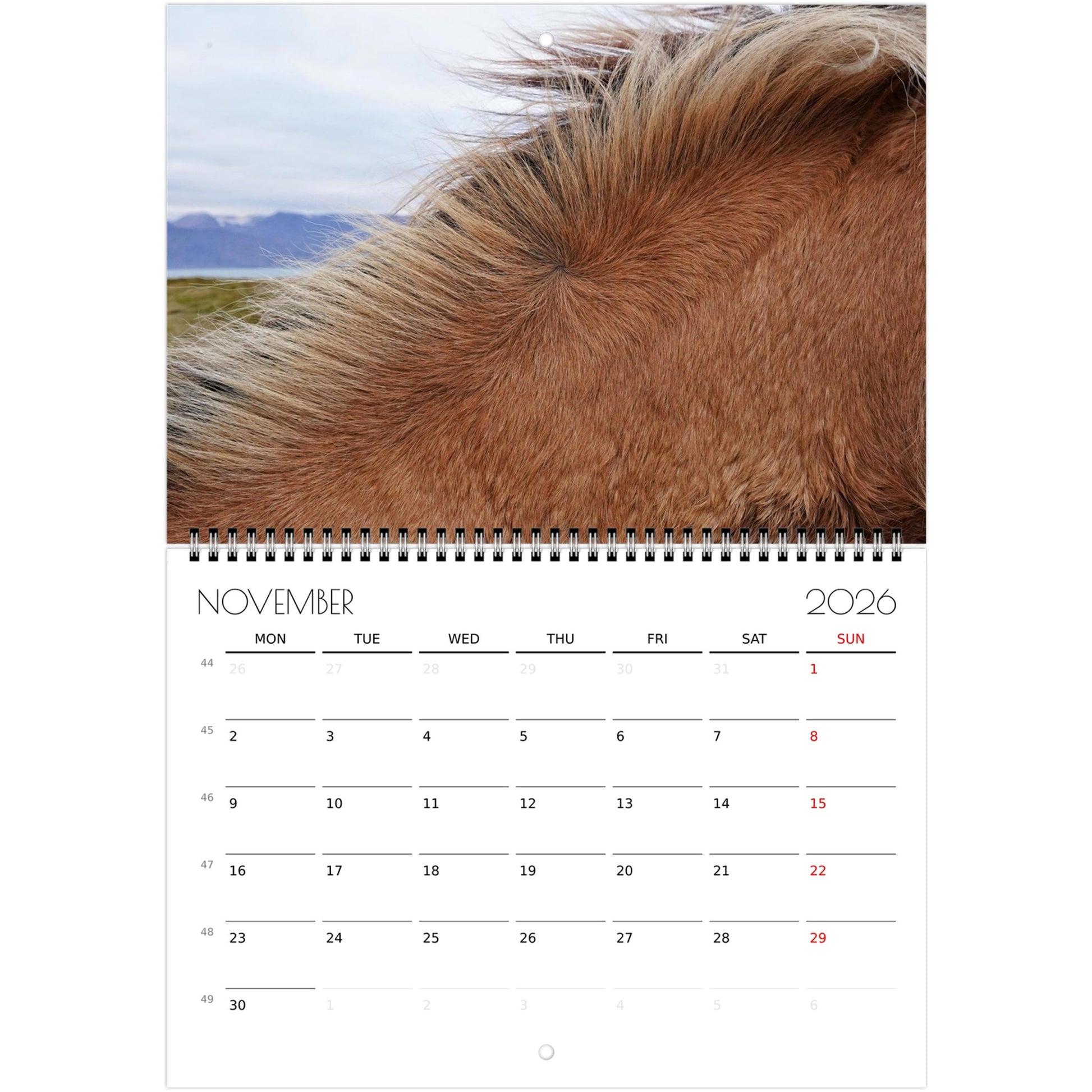 c0952ac4-94eb-4245-95df-c5dc56c6b800