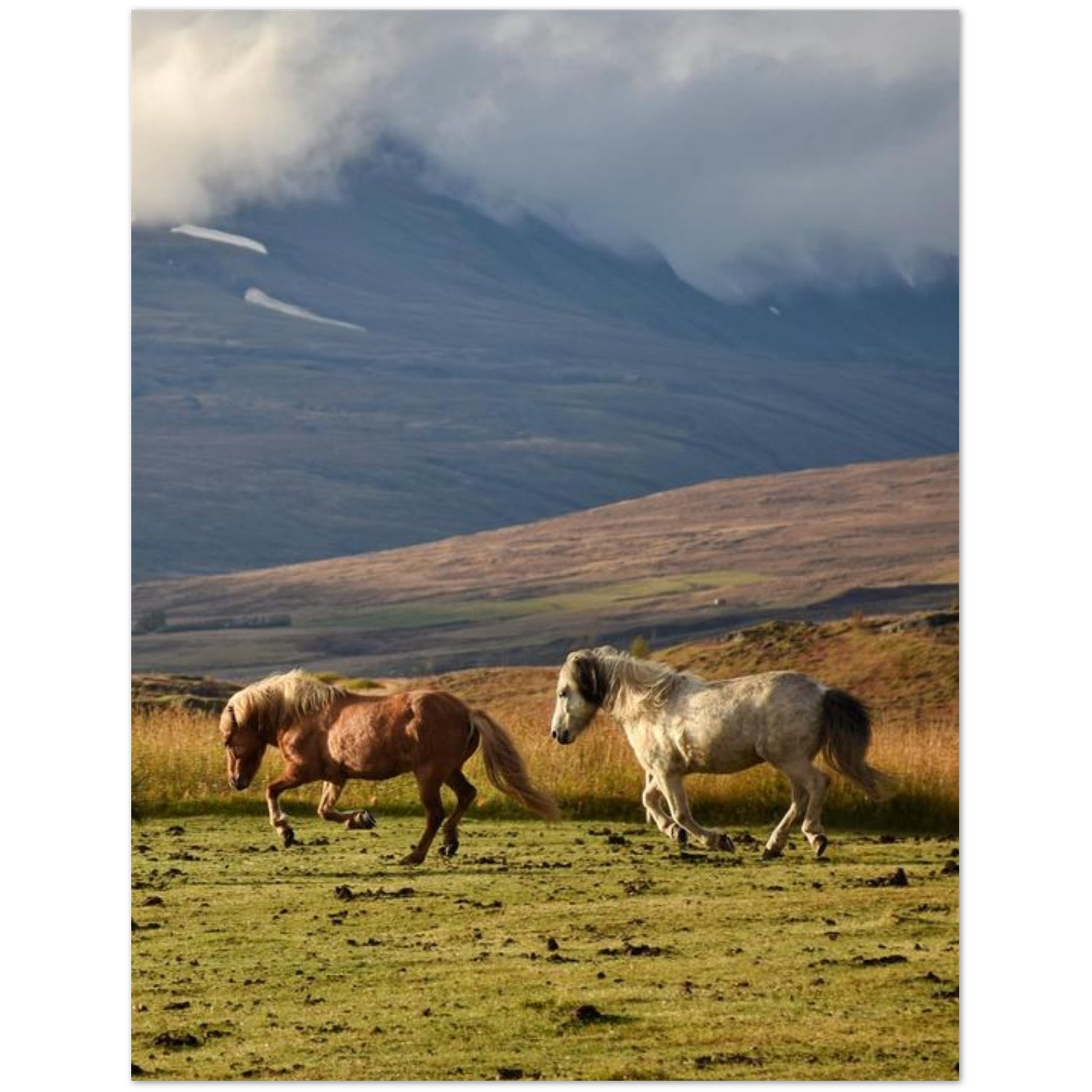 c33ceb76-2c11-4180-8d56-2471cc60f1de