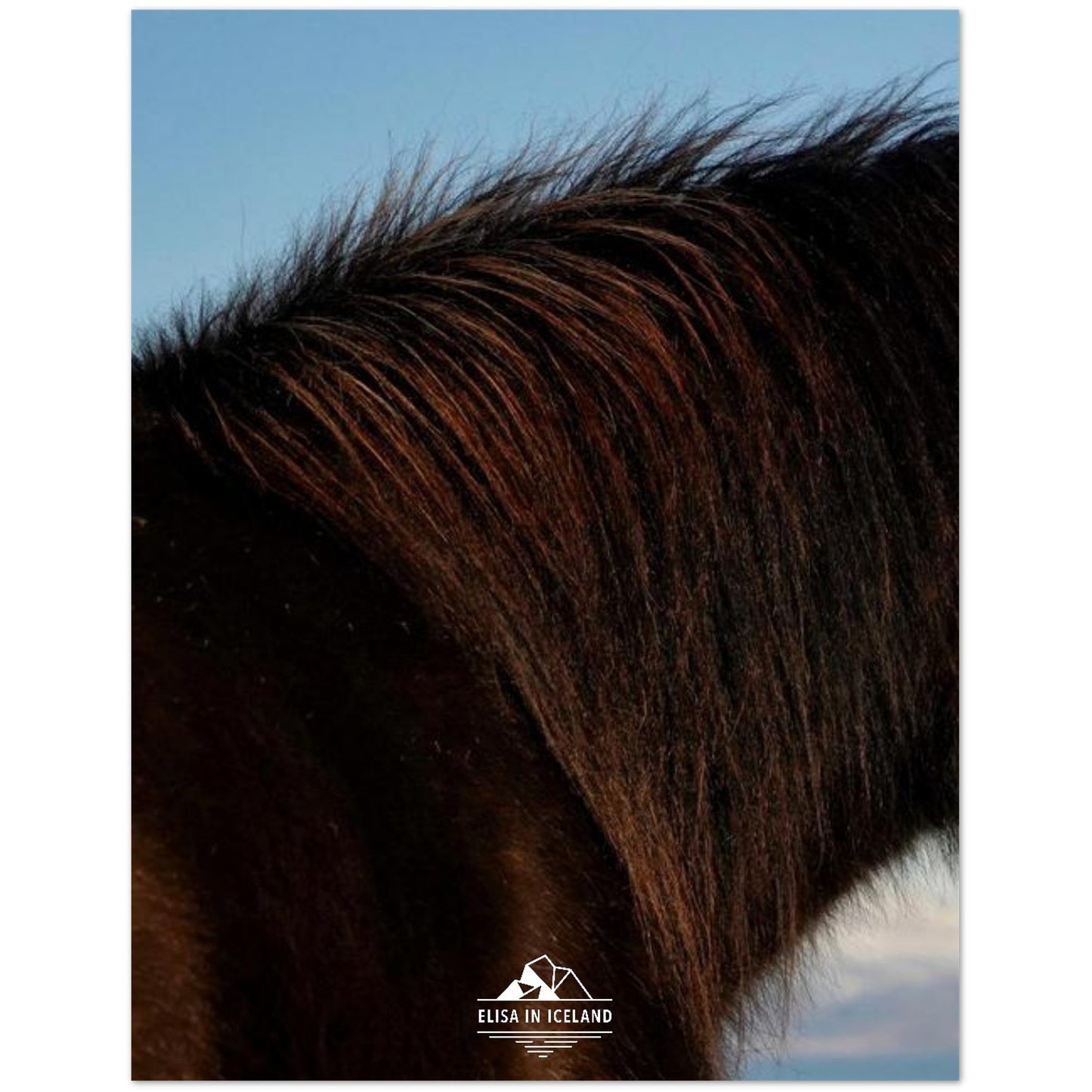 c4069e11-52b6-4a1b-9c01-3e9e167f88d2