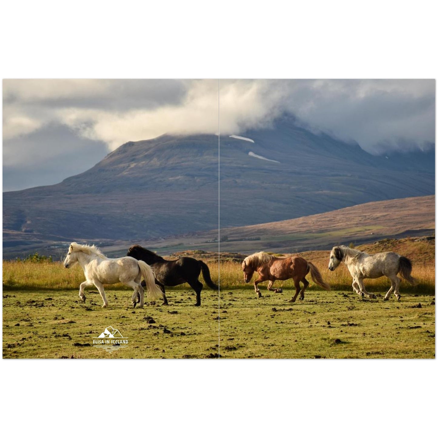 c61ab3f3-ec78-481a-a097-c9ae7df84865