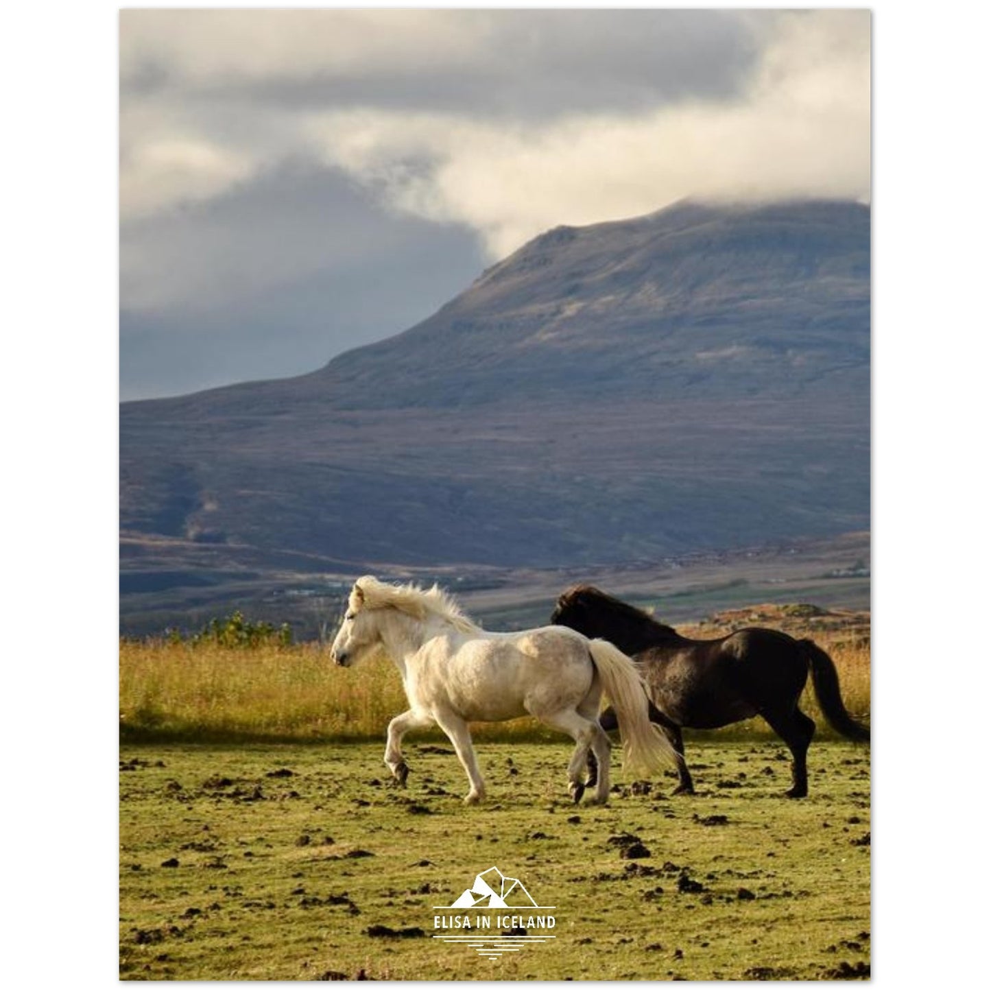 c99fc898-0382-46fc-81ef-df95a36ab19c