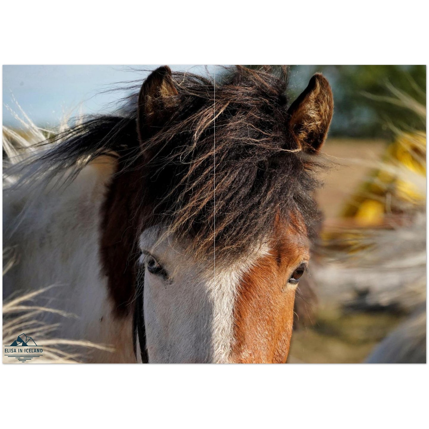 c9e0742a-9d0d-4ccb-97ec-0835659c87e4