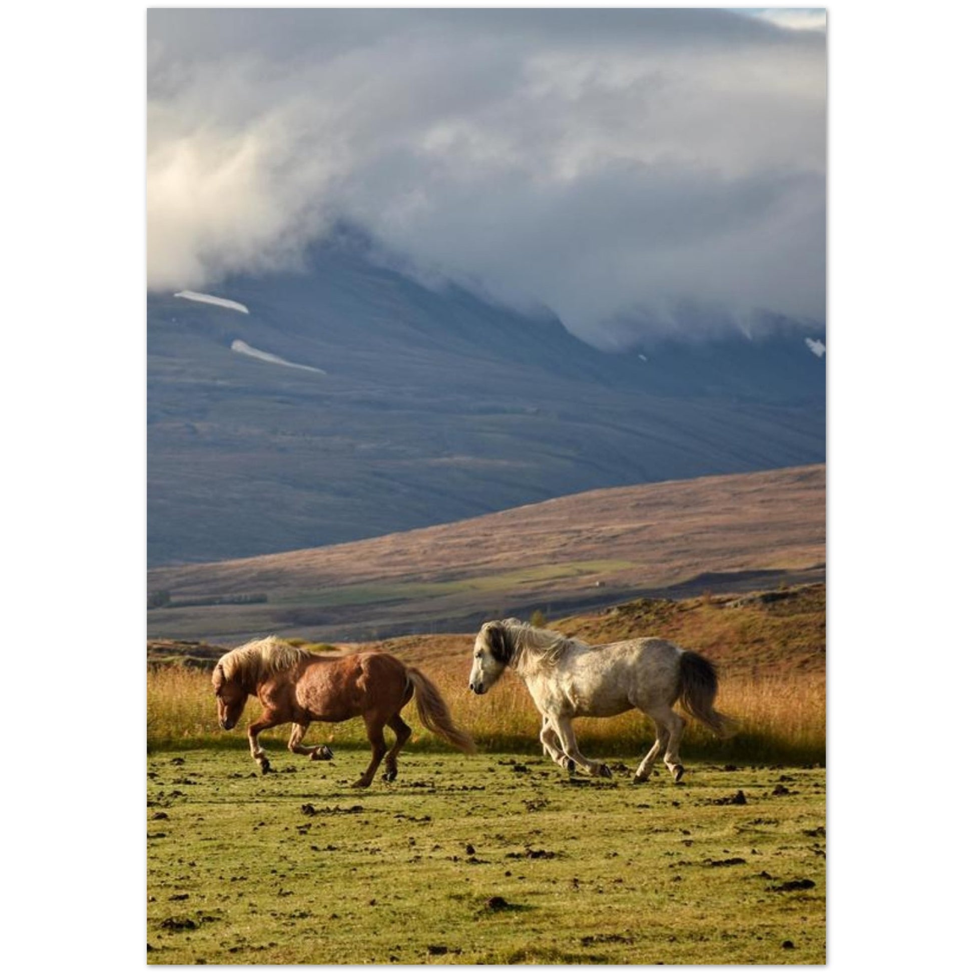 d2b10853-5cc5-4f13-8322-86df94cf66e0