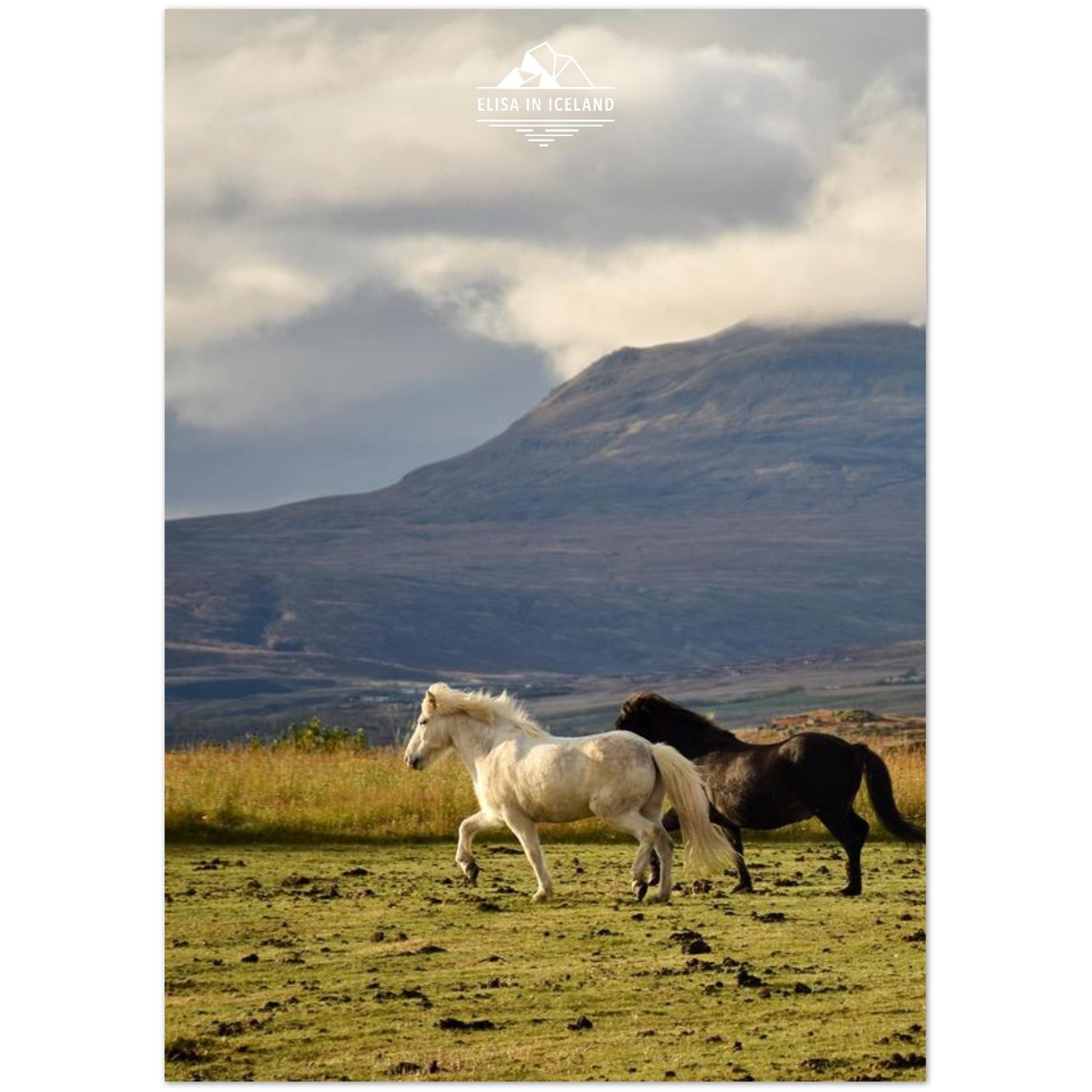 d97456a8-7b60-4778-8466-138010d9b713