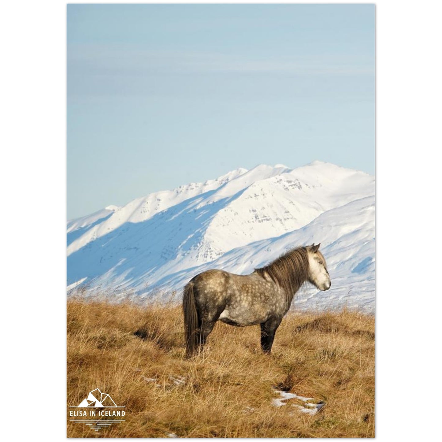 da717acf-95b3-4e9f-8612-a830a5cacff6