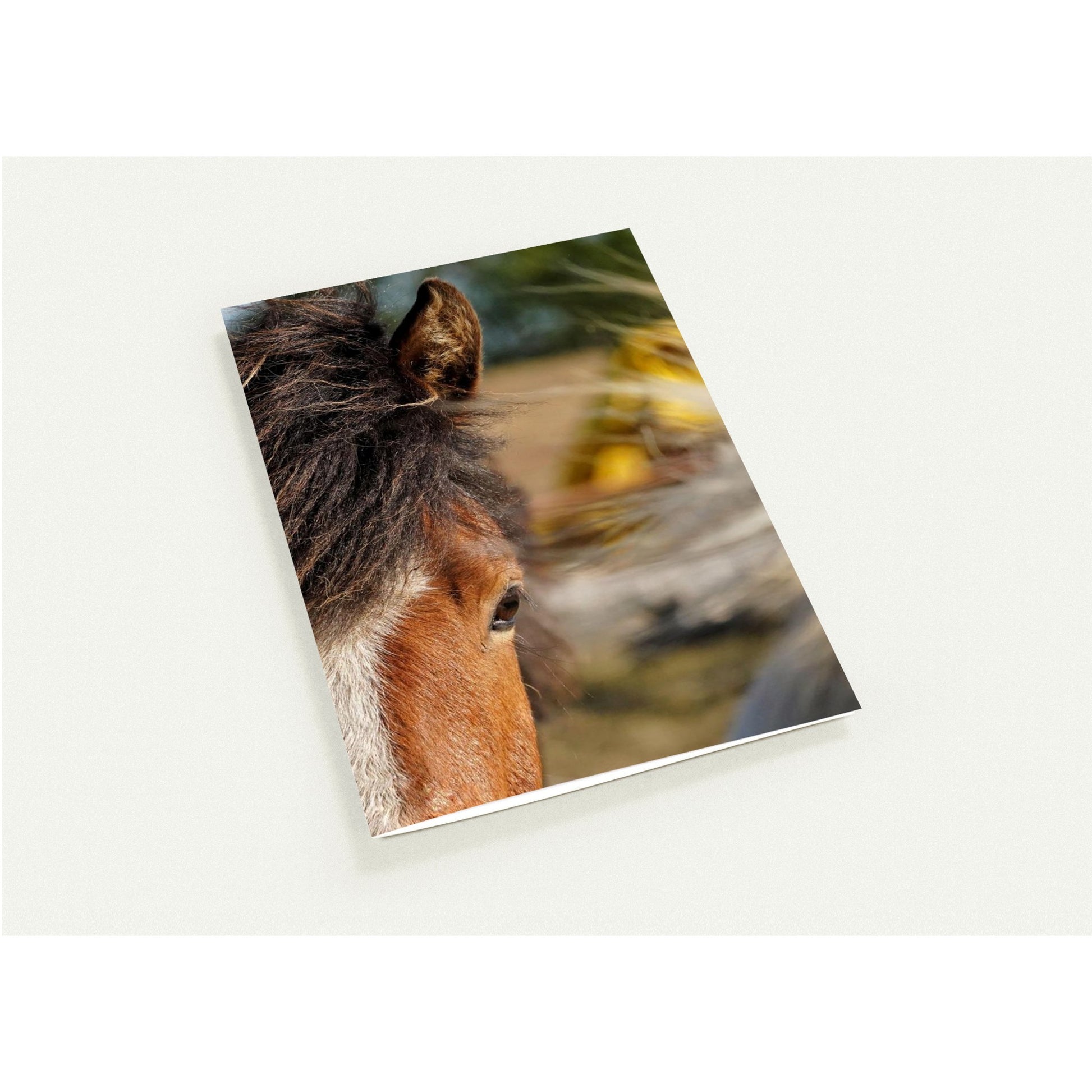 db94f672-c930-44c2-9027-19adec28ef55