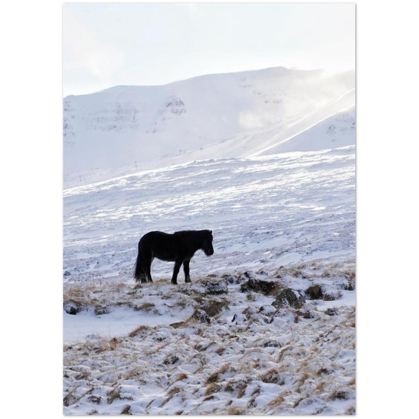 dcb5398a-e2a4-43ac-b54d-91144b3d9ca5