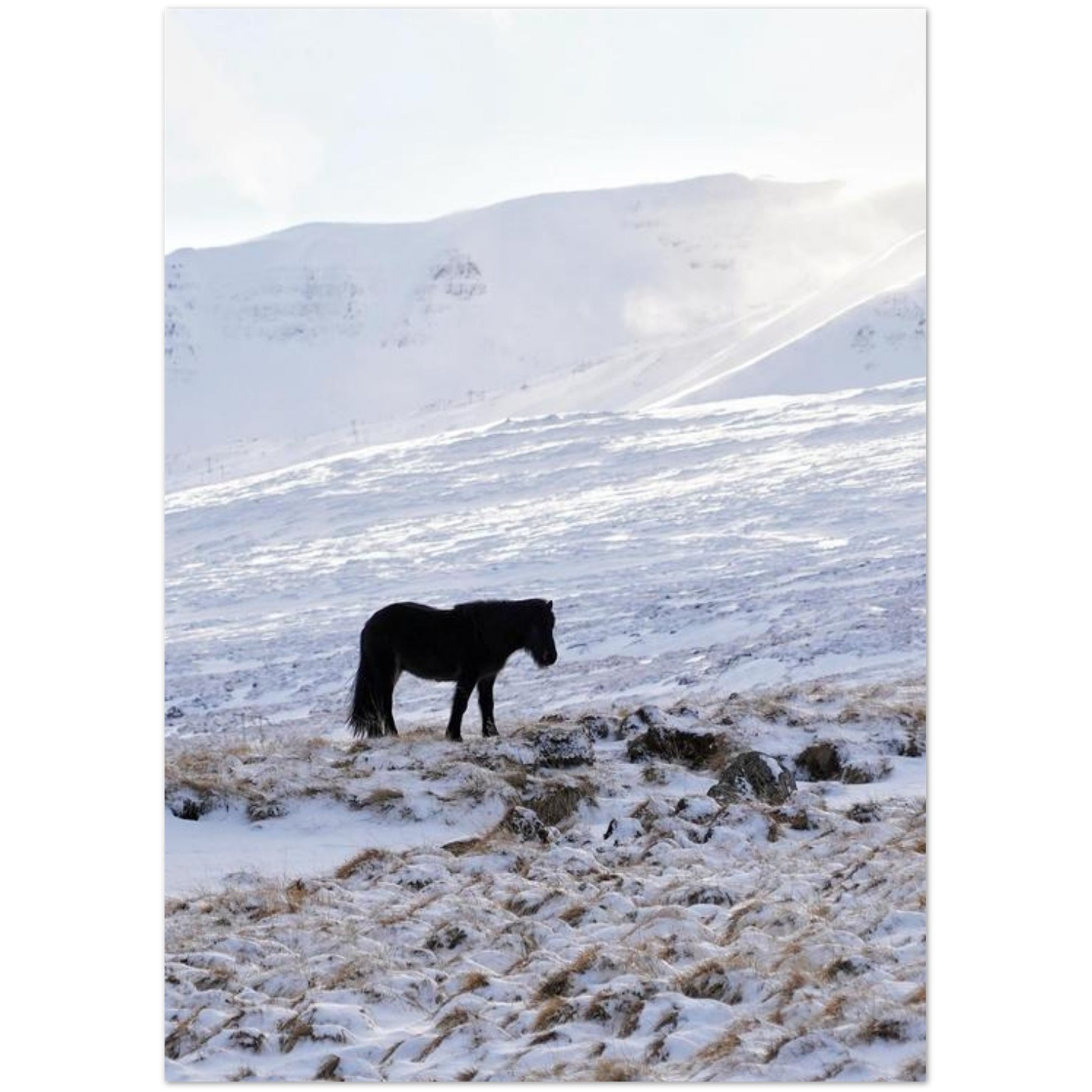 dcb5398a-e2a4-43ac-b54d-91144b3d9ca5