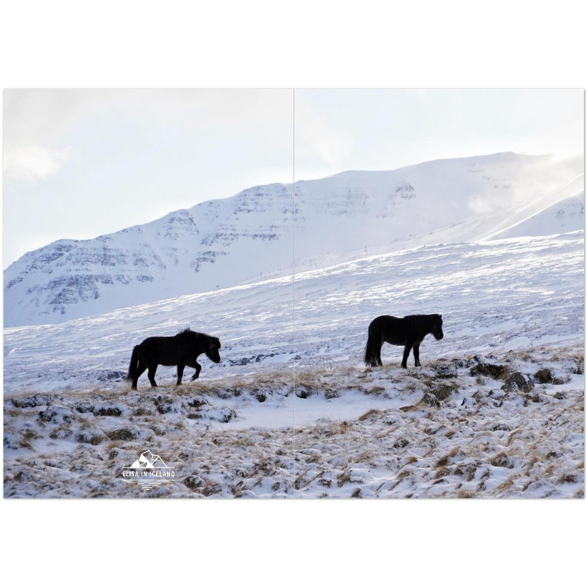 e6578948-55bf-4992-8c30-1e54c5d346ab