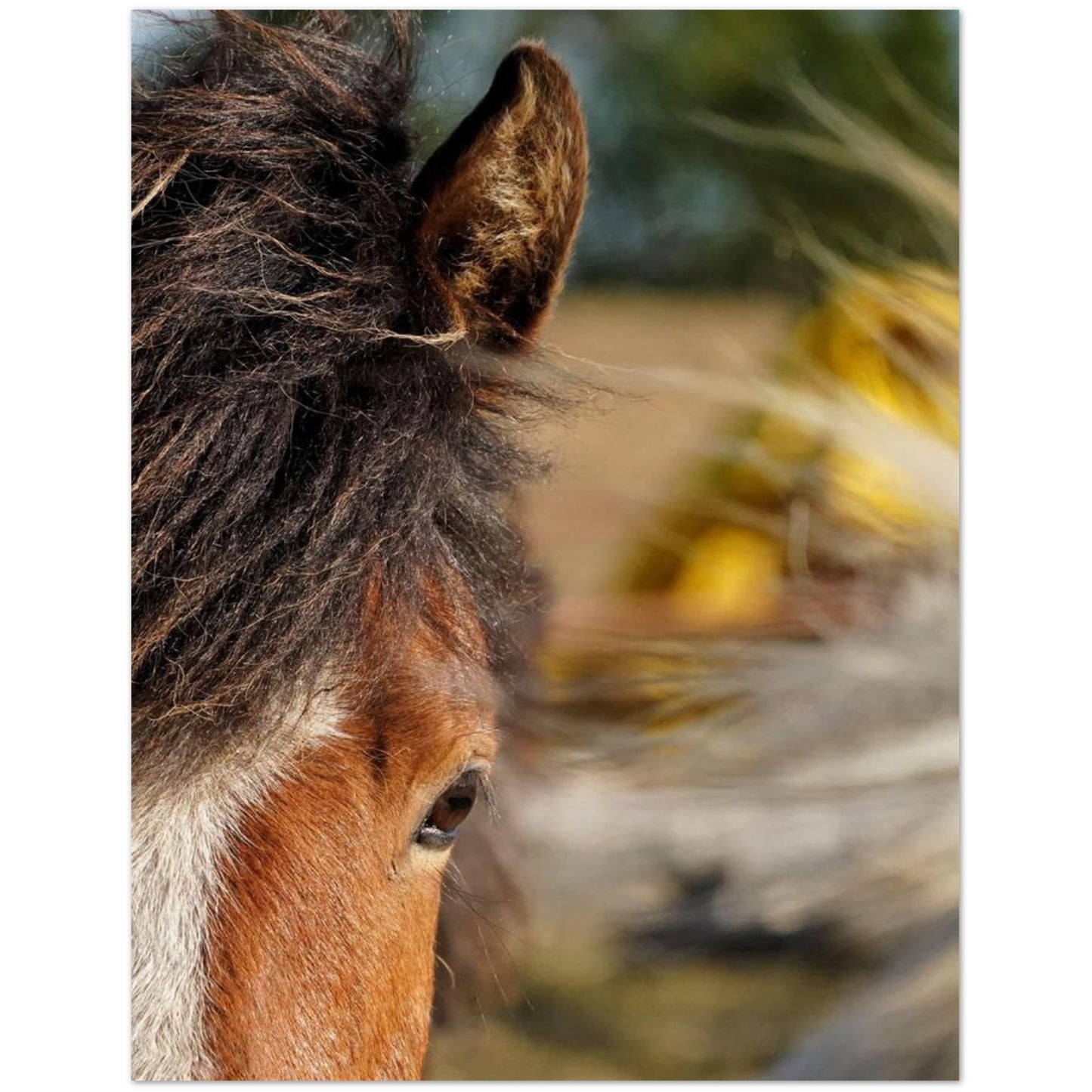 e93caf20-d7df-4b39-a7e9-f6f08d53f8ee