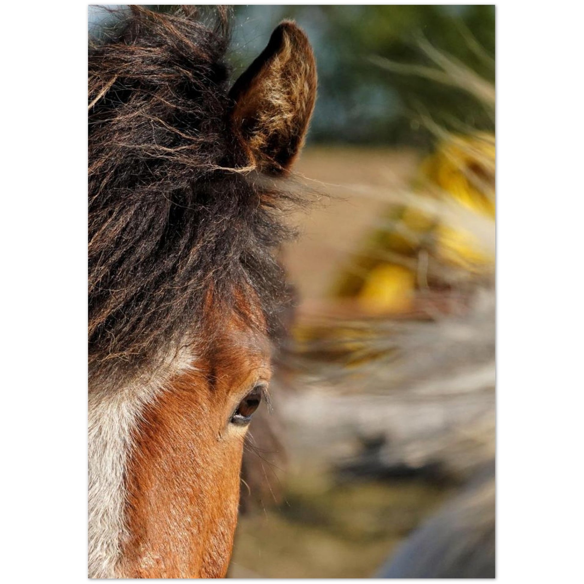 e9ecfffa-2d3c-40fc-8b24-4ba912126280