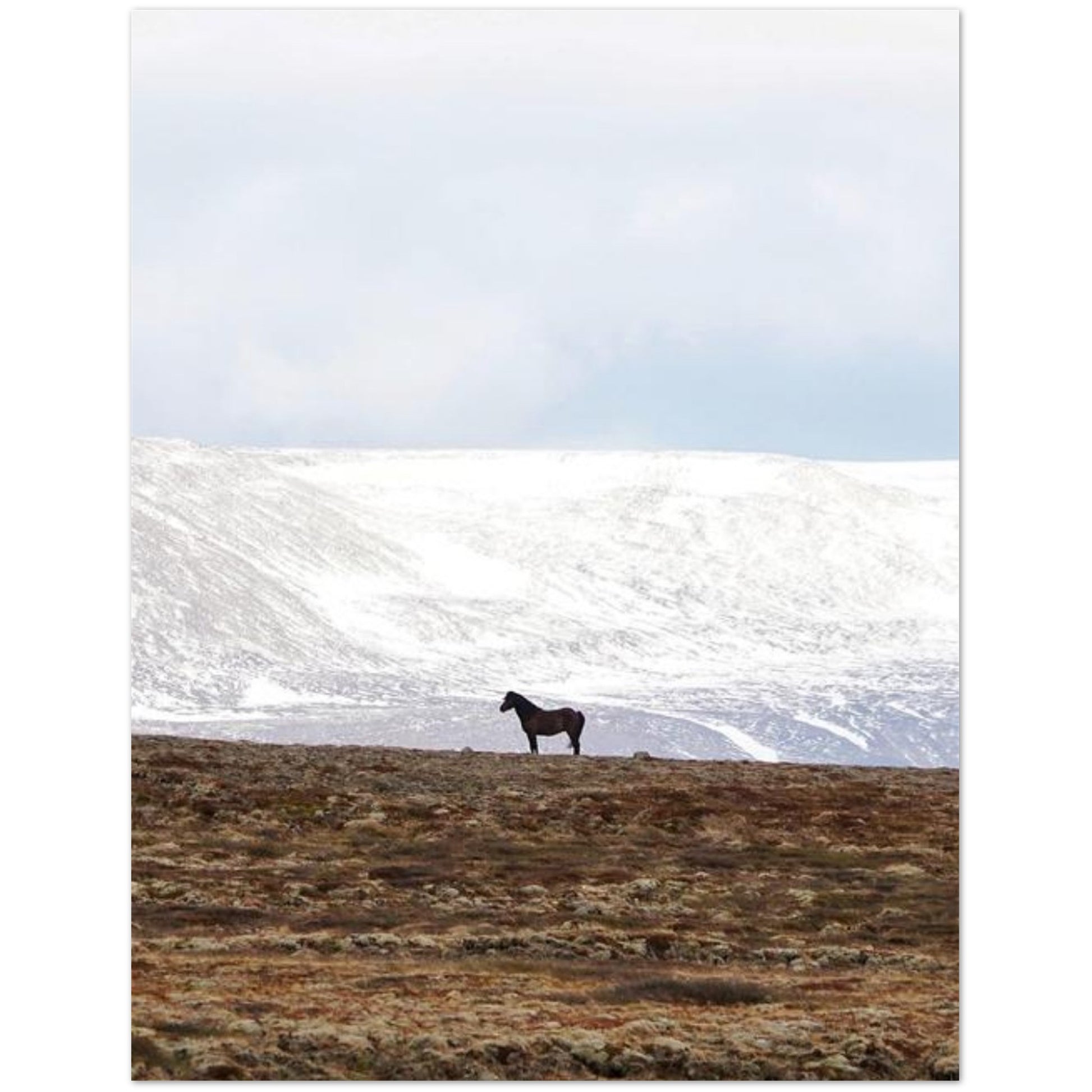 ea2852d3-d147-459f-9f49-f20ee3738677