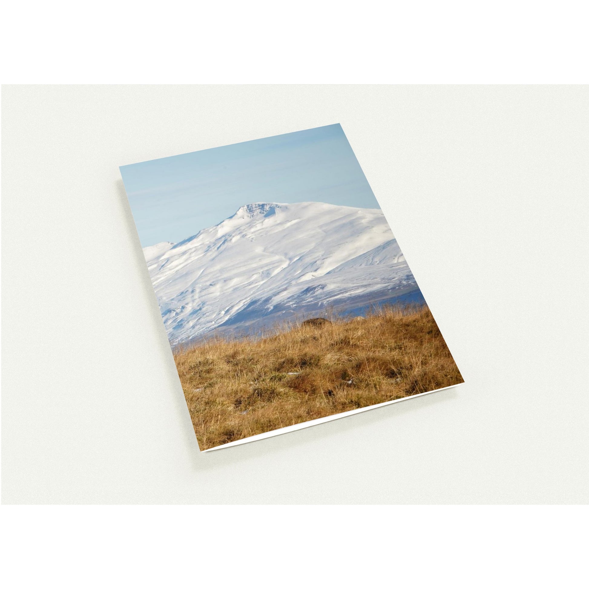 faee2c03-32f4-4f1e-8f87-9a8ea2bdd96b