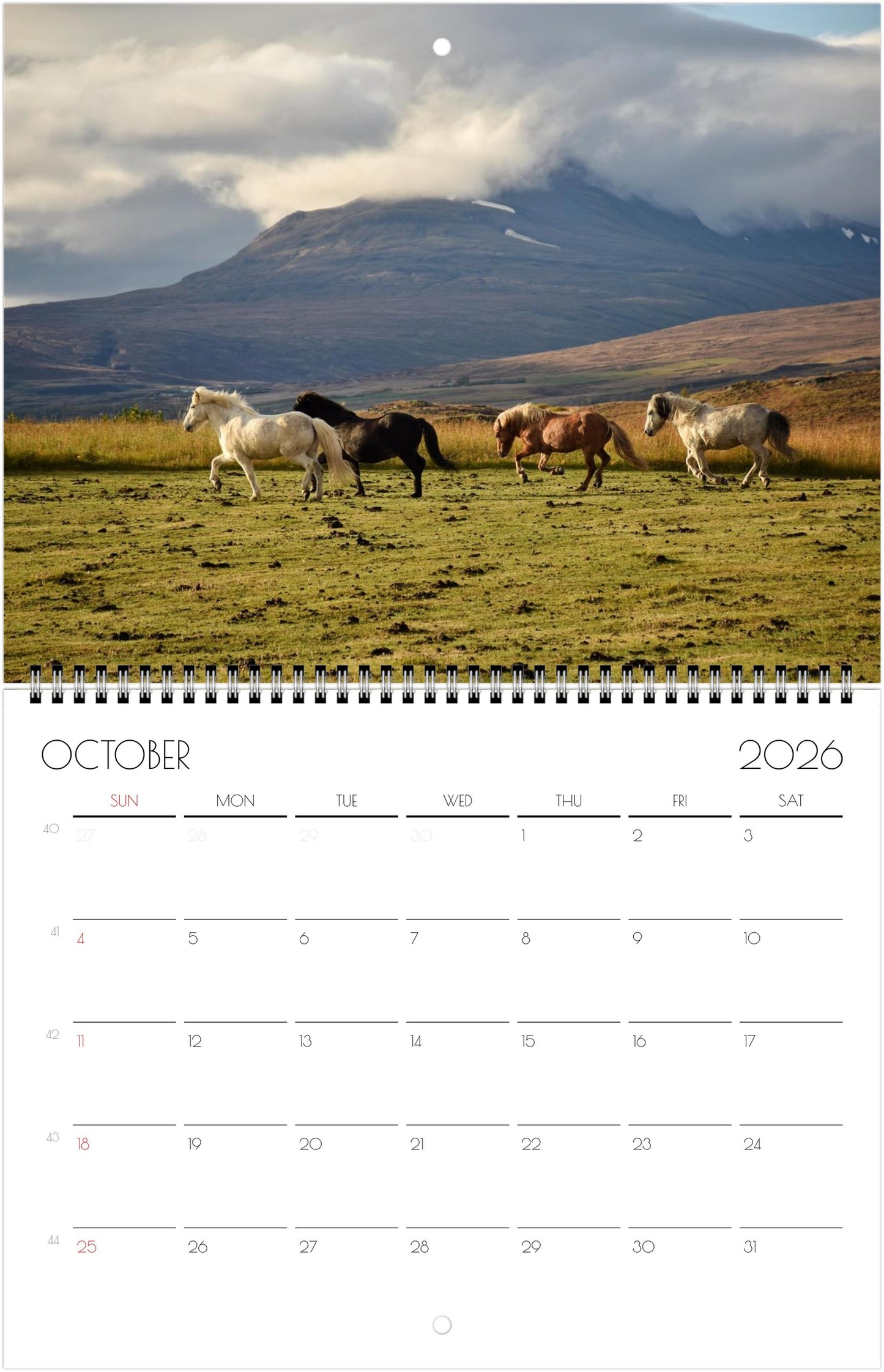 Icelandic Horses - Calendars 2026 (US & CA)