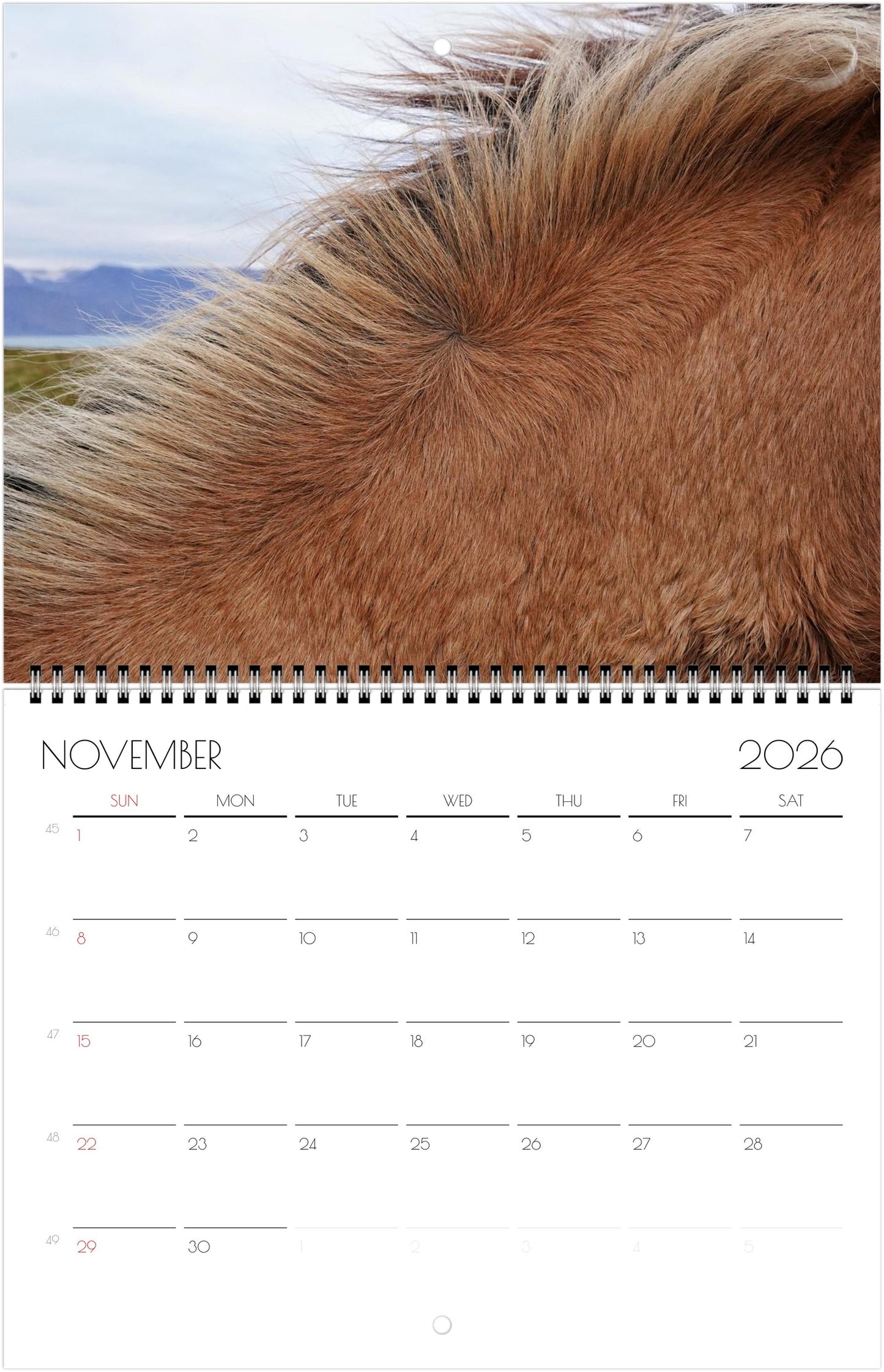 Icelandic Horses - Calendars 2026 (US & CA)