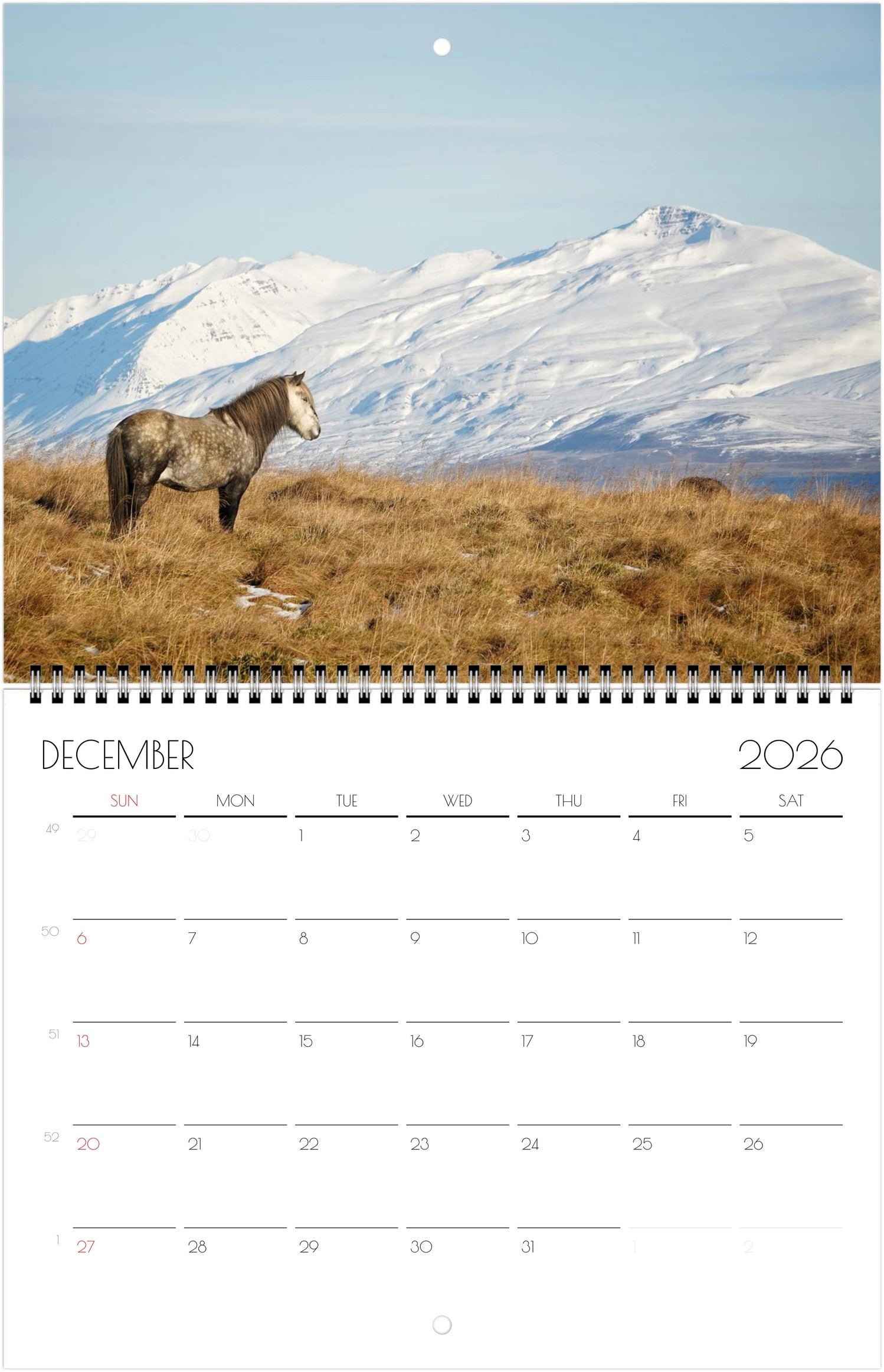 Lang Companies, Horses In The Mist 2026 Wall Calendar By Persis Clayton Weirs, 13.4'' X 12'', 12-Month Calendar With Stapled Binding - Walmart Supplies